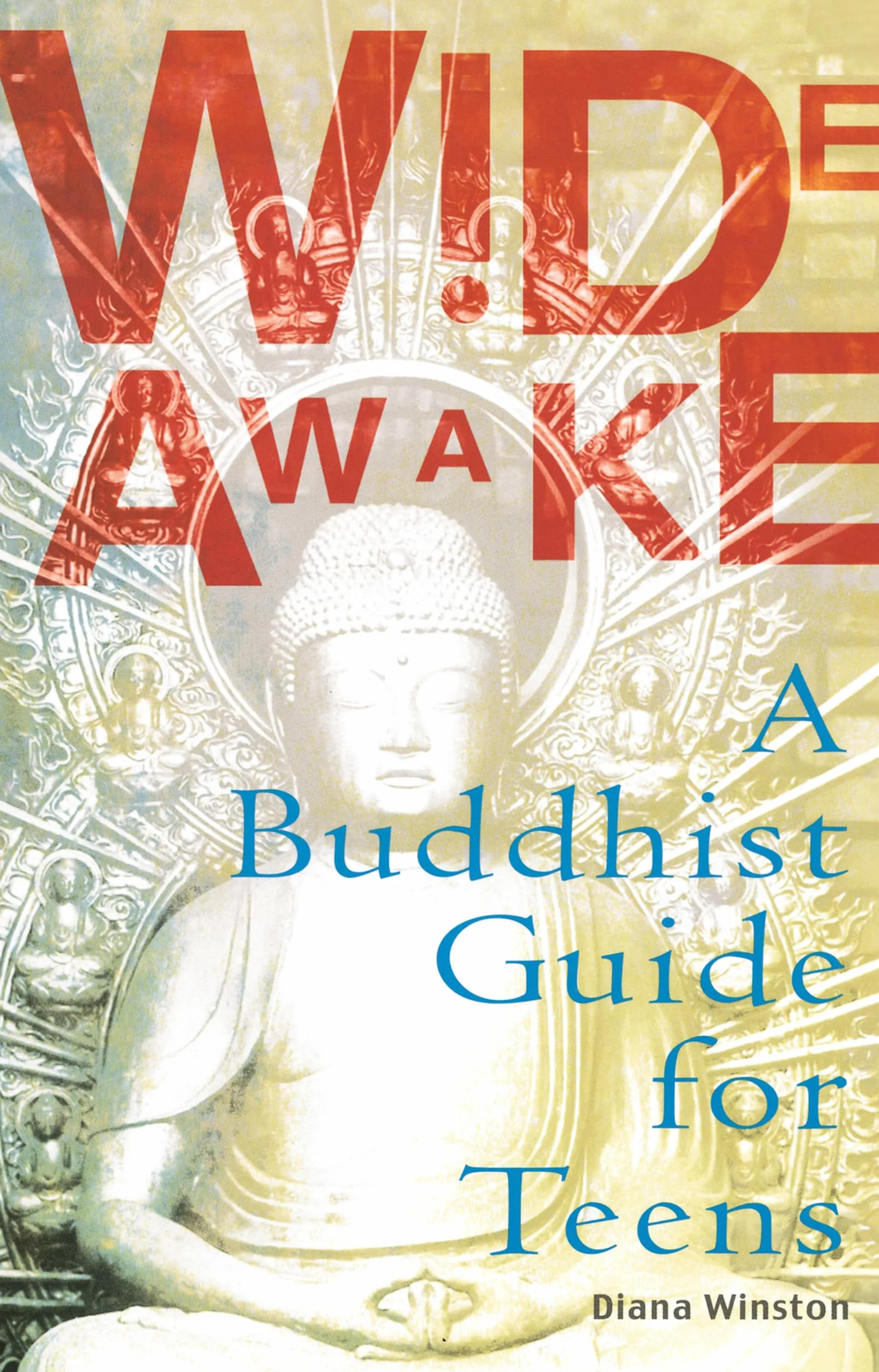 Wide Awake: A Buddhist Guide for Teens