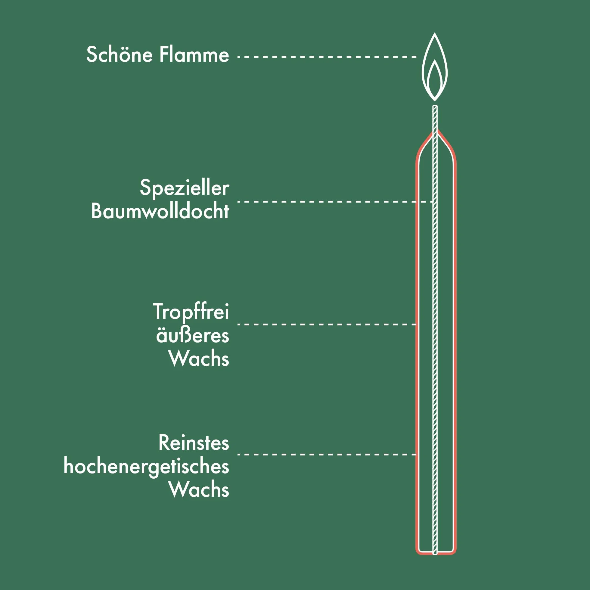 Bolsius Gładkie świece – antracytowe – 8 sztuk w kartonie – 24 cm – długość palenia 8 godzin – bezzapachowe – zawierają naturalny wosk roślinny – bez oleju palmowego