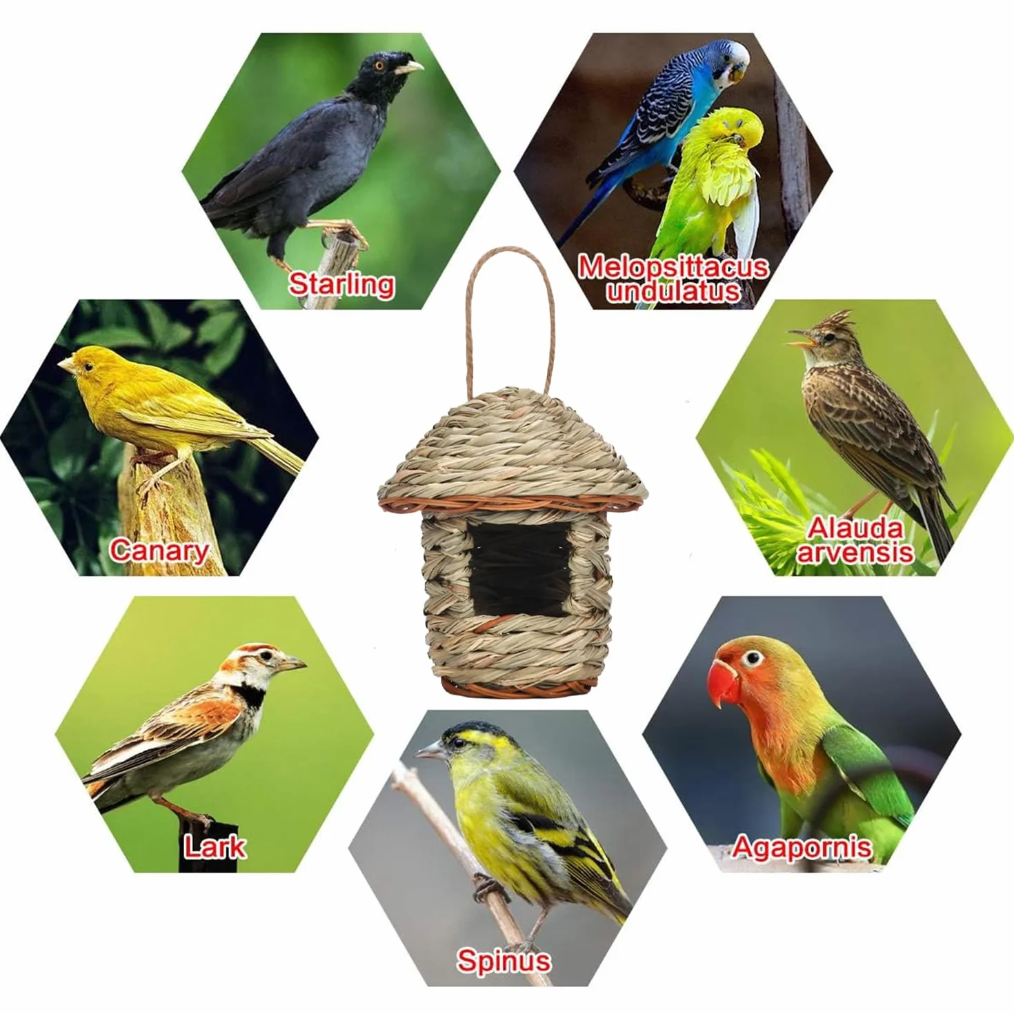 2 sztuki domek dla ptaków, gniazdo ptaków trawa domek dla ptaków, gniazdo dla dzikich ptaków na zewnątrz, domek dla ptaków na świeżym powietrzu dla ptaków, takich jak kolibry, Merli, Wróble i Chutnik