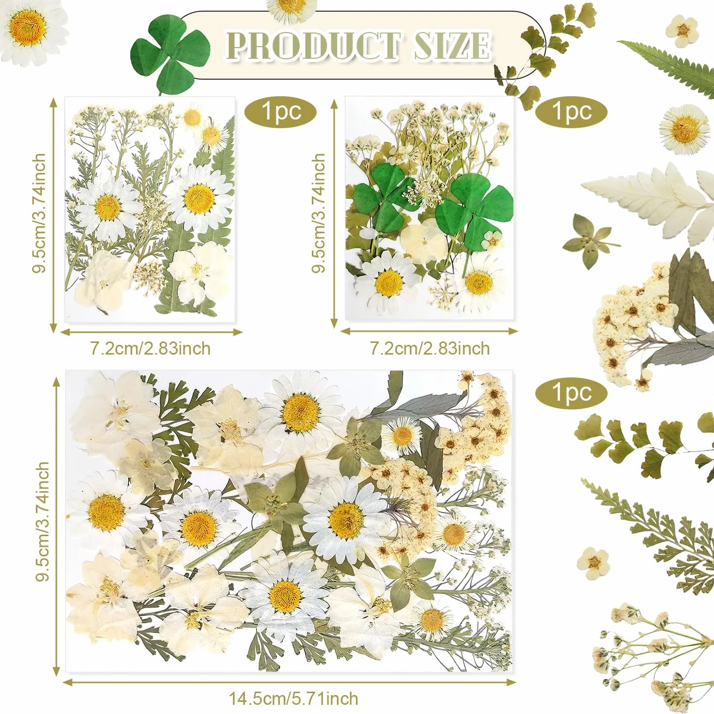 Dog's Booty Suszone kwiaty Naturalne suche kwiaty suszone kwiaty luźne suszone kwiaty żywica epoksydowa do majsterkowania, scrapbookingu, rzemiosła i dekoracji biżuterii (biały)