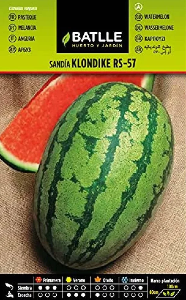 Semillas Batlle Klondike Rs-57 015704BOLS Nasiona Arbuza, 160 nasion
