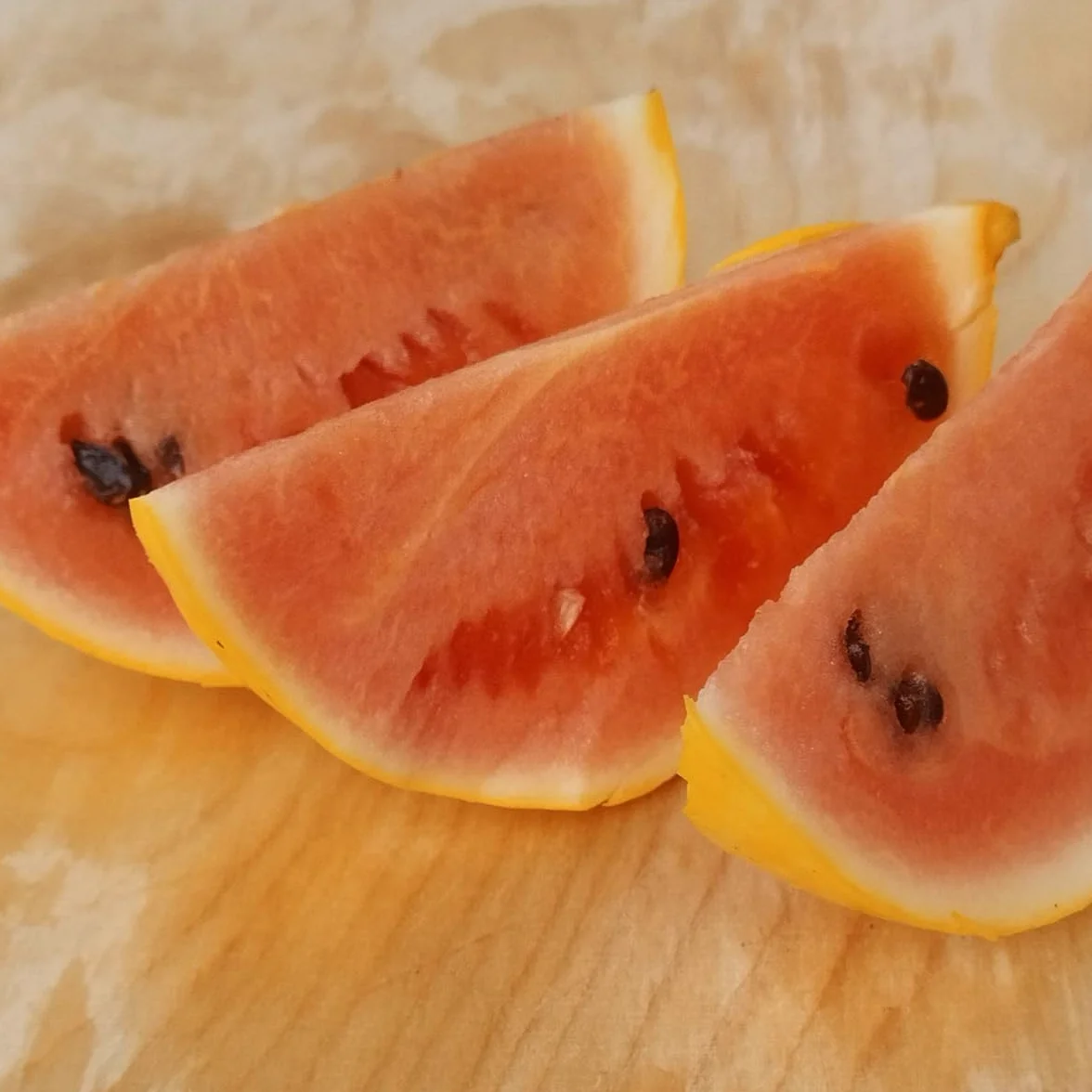 Arbuz 'Golden MIdget' (Citrullus lanatus) - ok. 5 nasion