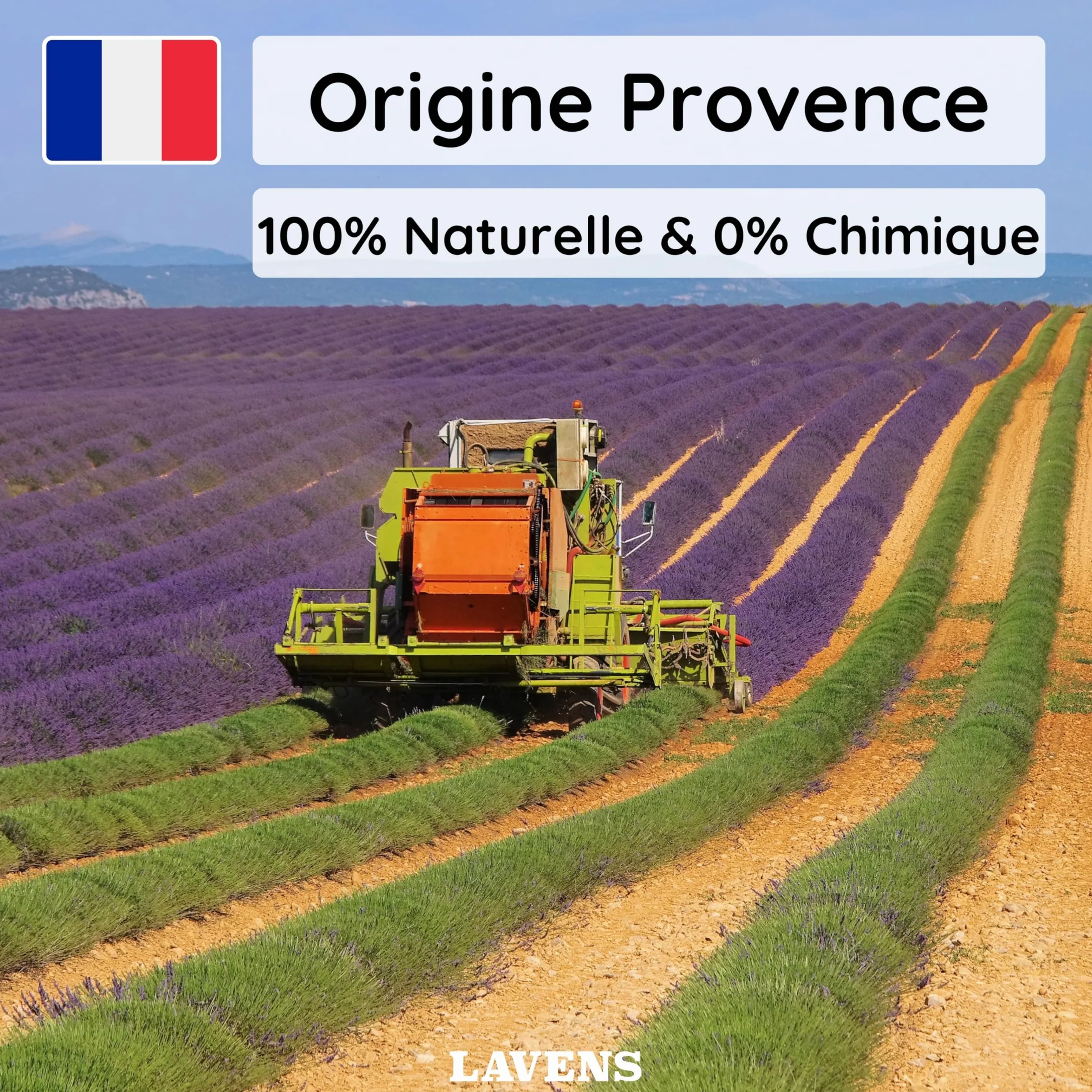LAVENS | 20 pachnących torebek z lawendą | Origine Provence Francja | 120 G | Torba zapachowa do szafki, na pranie i szafę. Wysokiej jakości suszona lawenda o intensywnym zapachu.