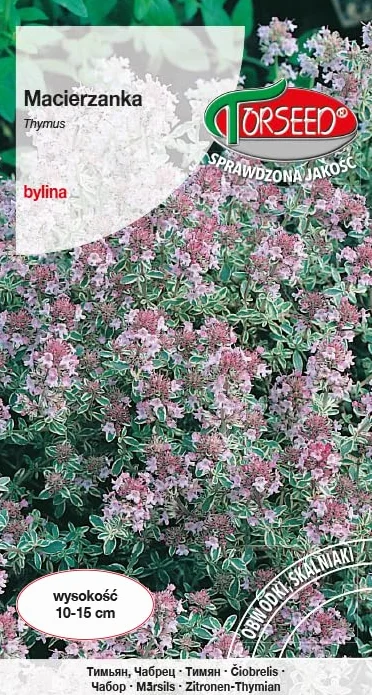 Nasiona Macierzanka purpurowa 0,3g - Torseed