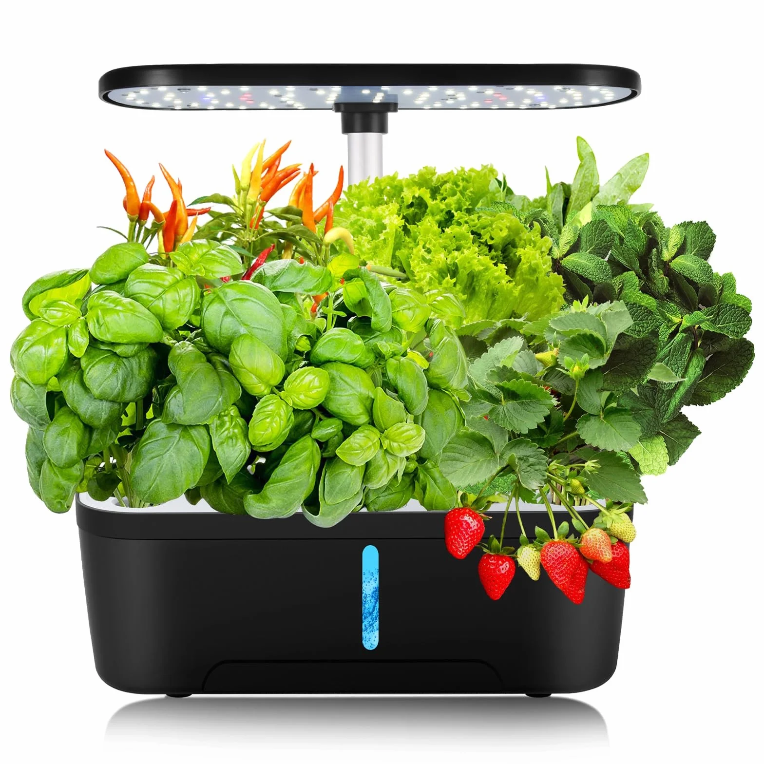 12 Pods Hydroponics Growing System, Indoor Herb Garden with LED Grow Light, Plants Germination Kit with Automatic Timer, Smart Garden Planter, Height Adjustable, for Home & Kitchen Gardening