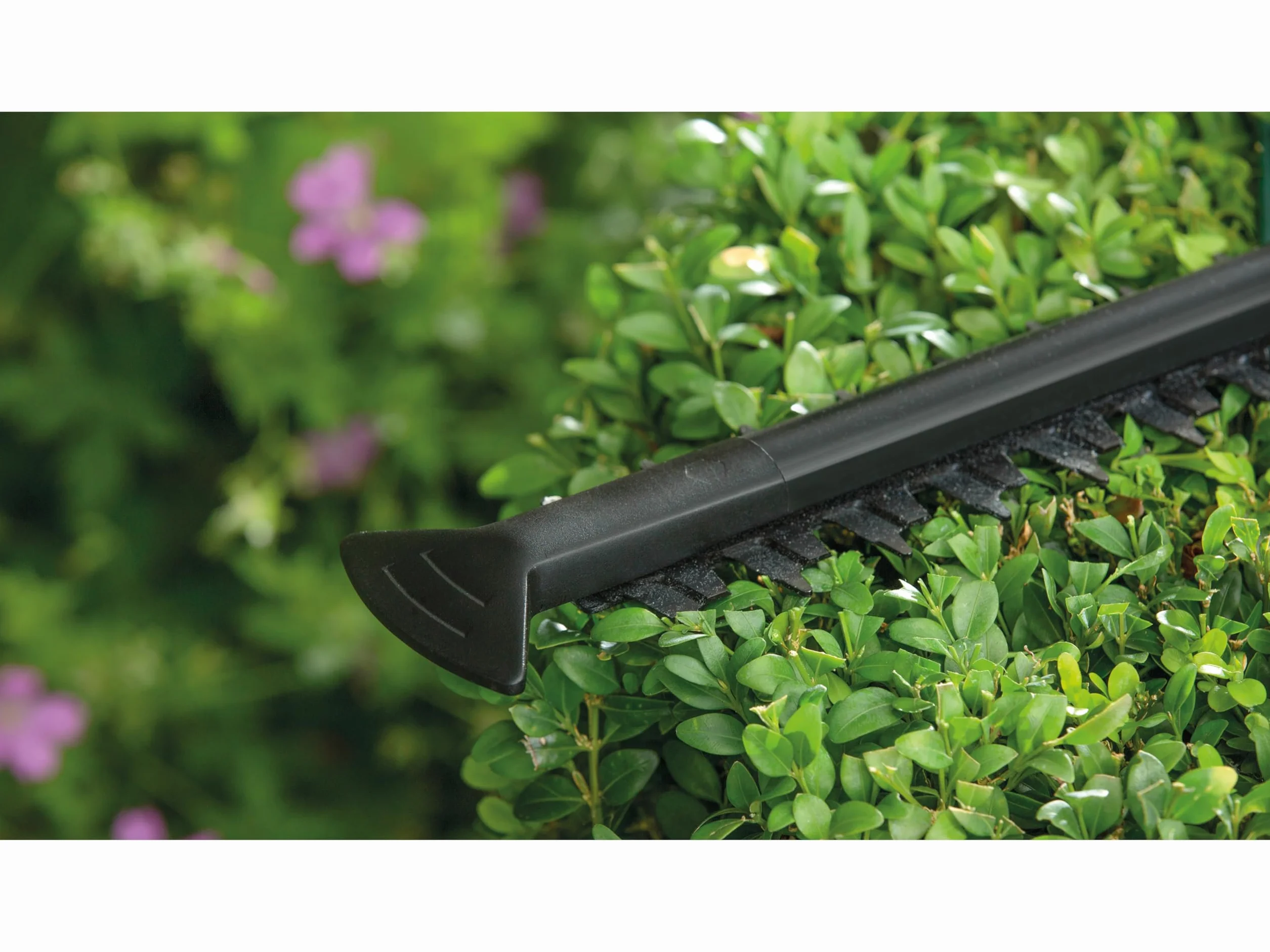 Bosch Easyhedgecut Nożyce do Żywopłotu, Zielony, 55 cm