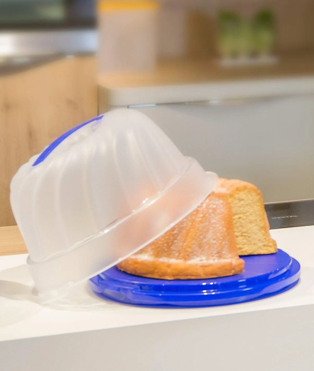Rotho Fresh pojemnik na ciasto na babeczki z pokrywką i uchwytem, tworzywo sztuczne PP, biały/przezroczysty 30,5 x 28,5 x 17,5 cm
