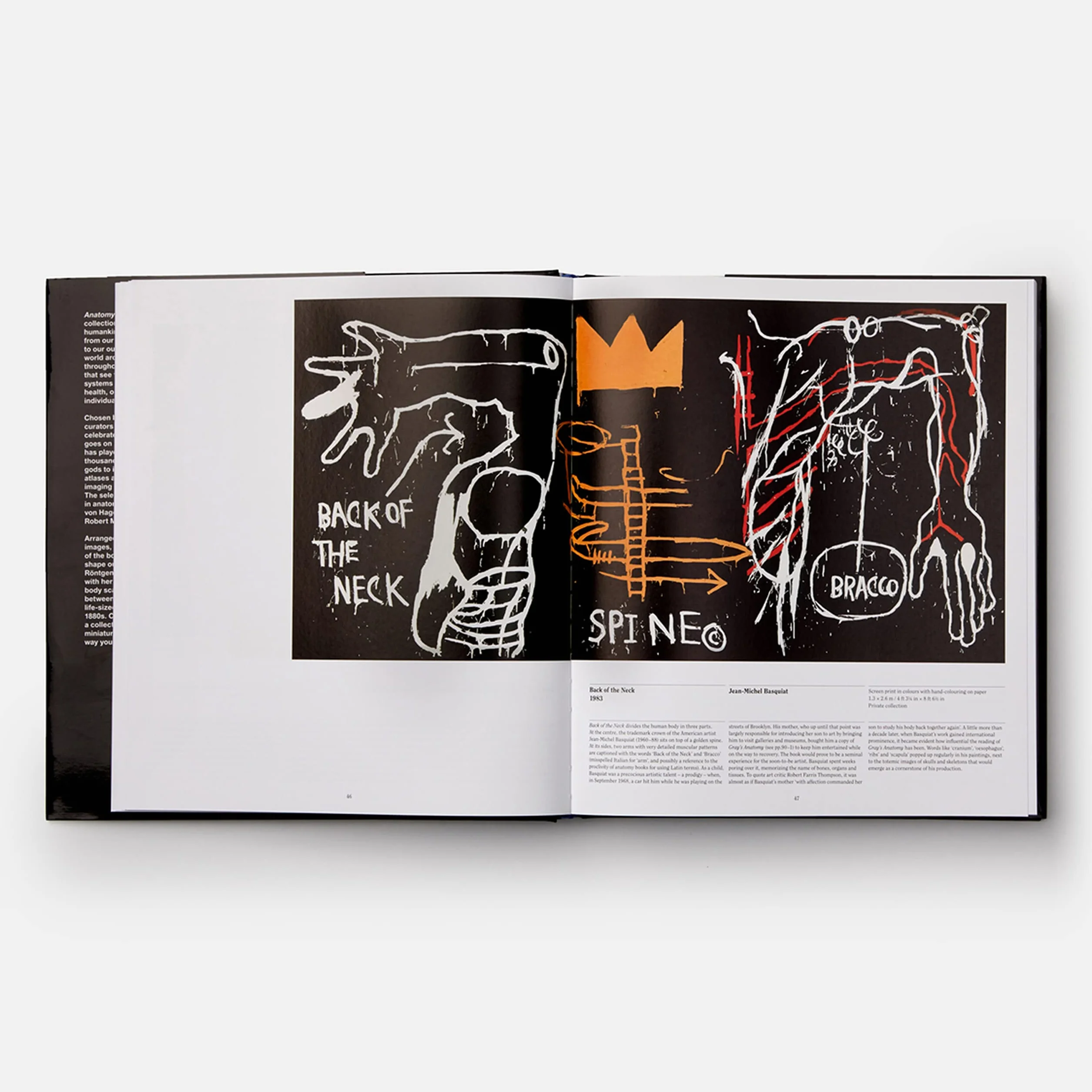 Anatomy: Exploring the Human Body