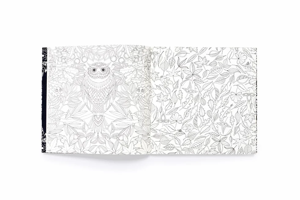 Secret Garden An Inky Treasure Hunt and Colouring Book /anglais: Secret Garden: 10th Anniversary Limited Special Edition