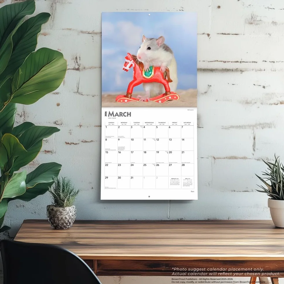 Rats – Ratten 2026 – 16-Monatskalender: Original BrownTrout-Kalender [Mehrsprachig] [Kalender]