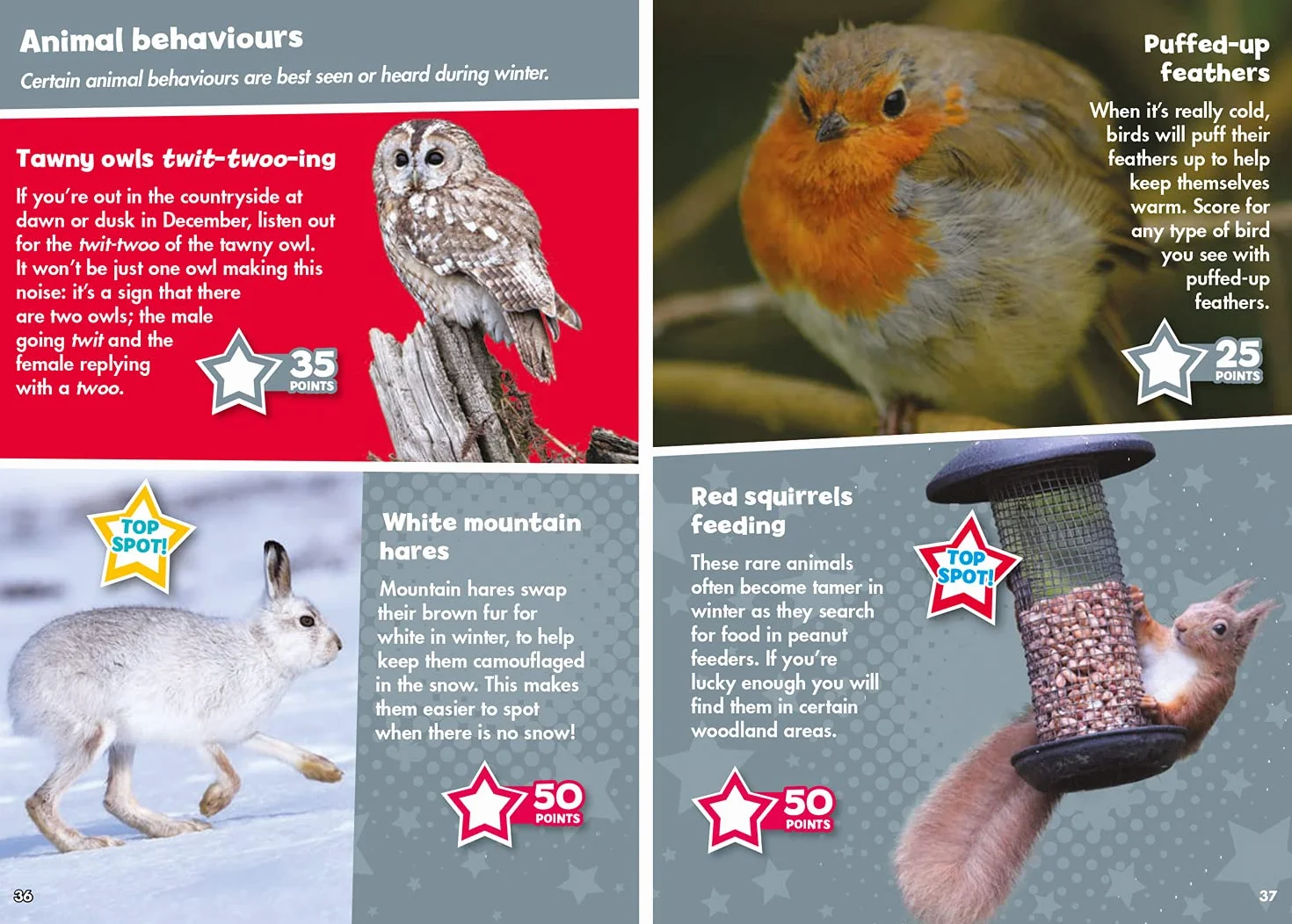 i-SPY Winter: Spy it! Score it!