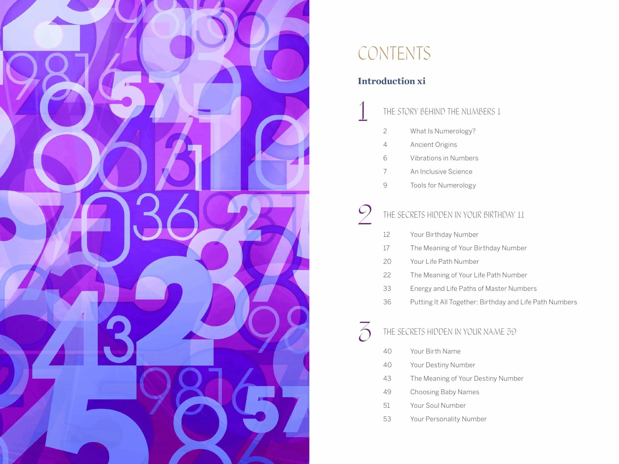 A Beginner's Guide to Numerology: Decode Relationships, Maximize Opportunities, and Discover Your Destiny