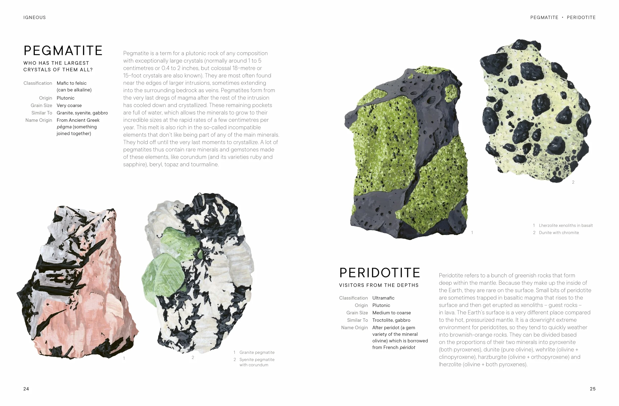 Rocks: A Guide to the Stones Around Us and the Stories They Tell