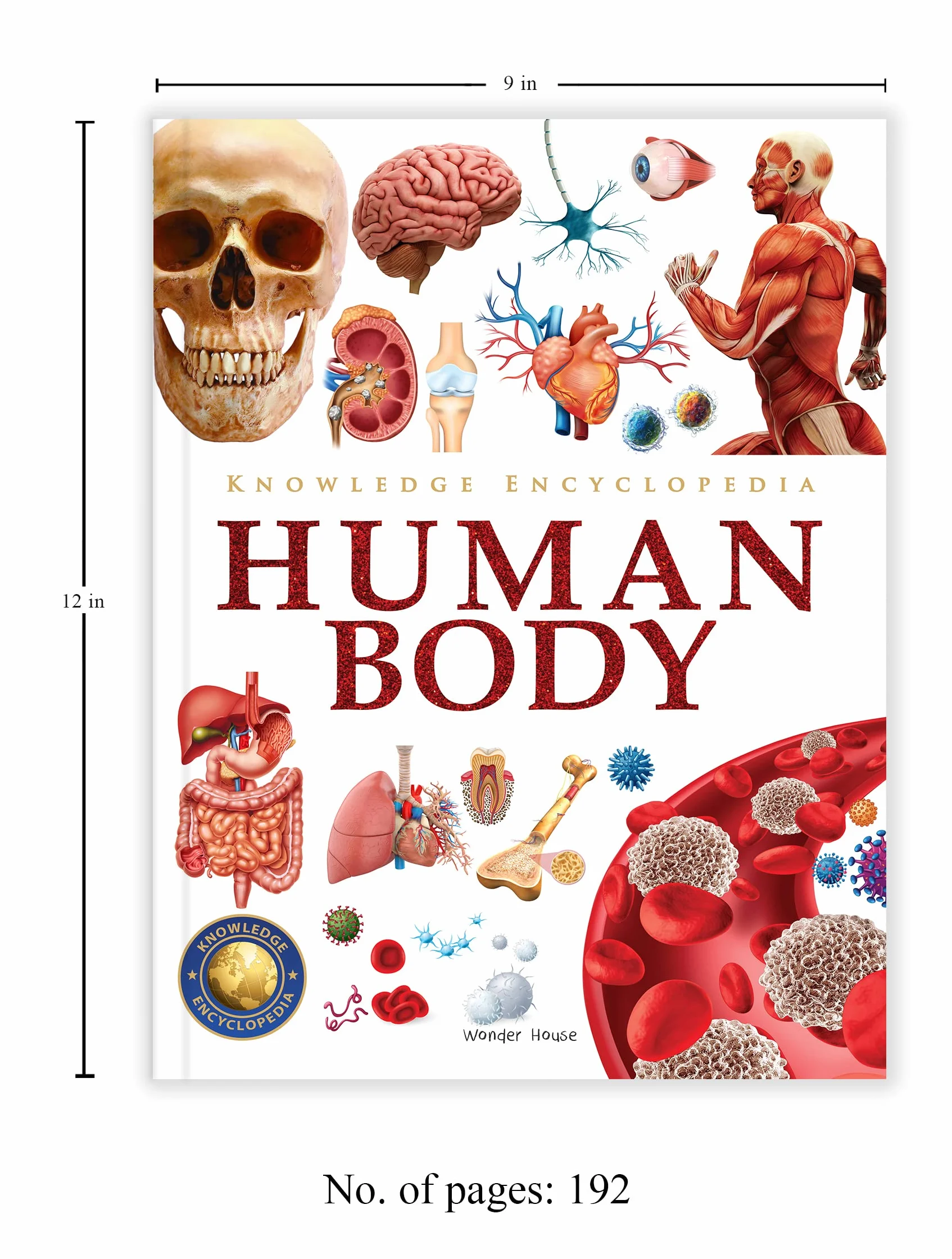 Knowledge Encyclopedia: Human Body