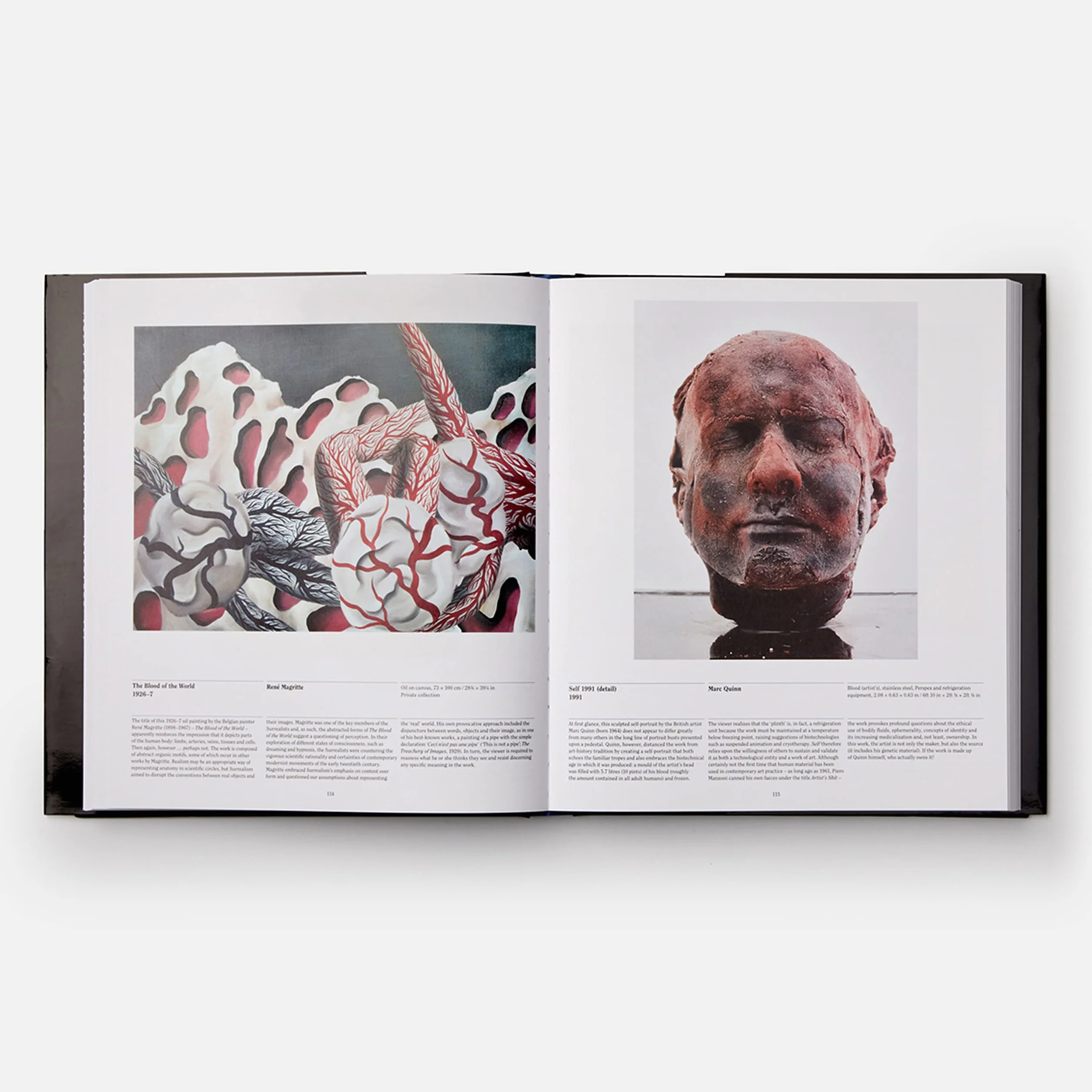 Anatomy: Exploring the Human Body