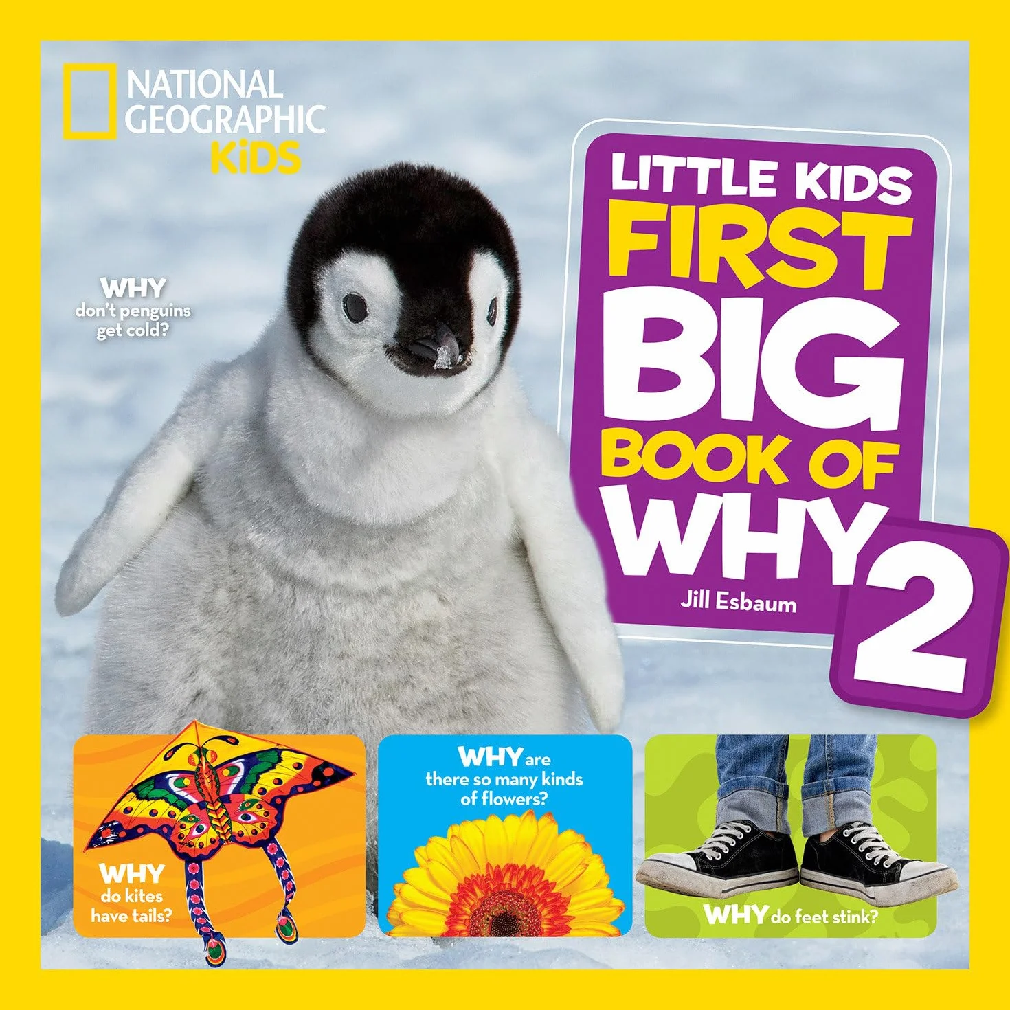 Little Kids First Big Book of Why 2: More Questions and Answers About the World for Curious Kids