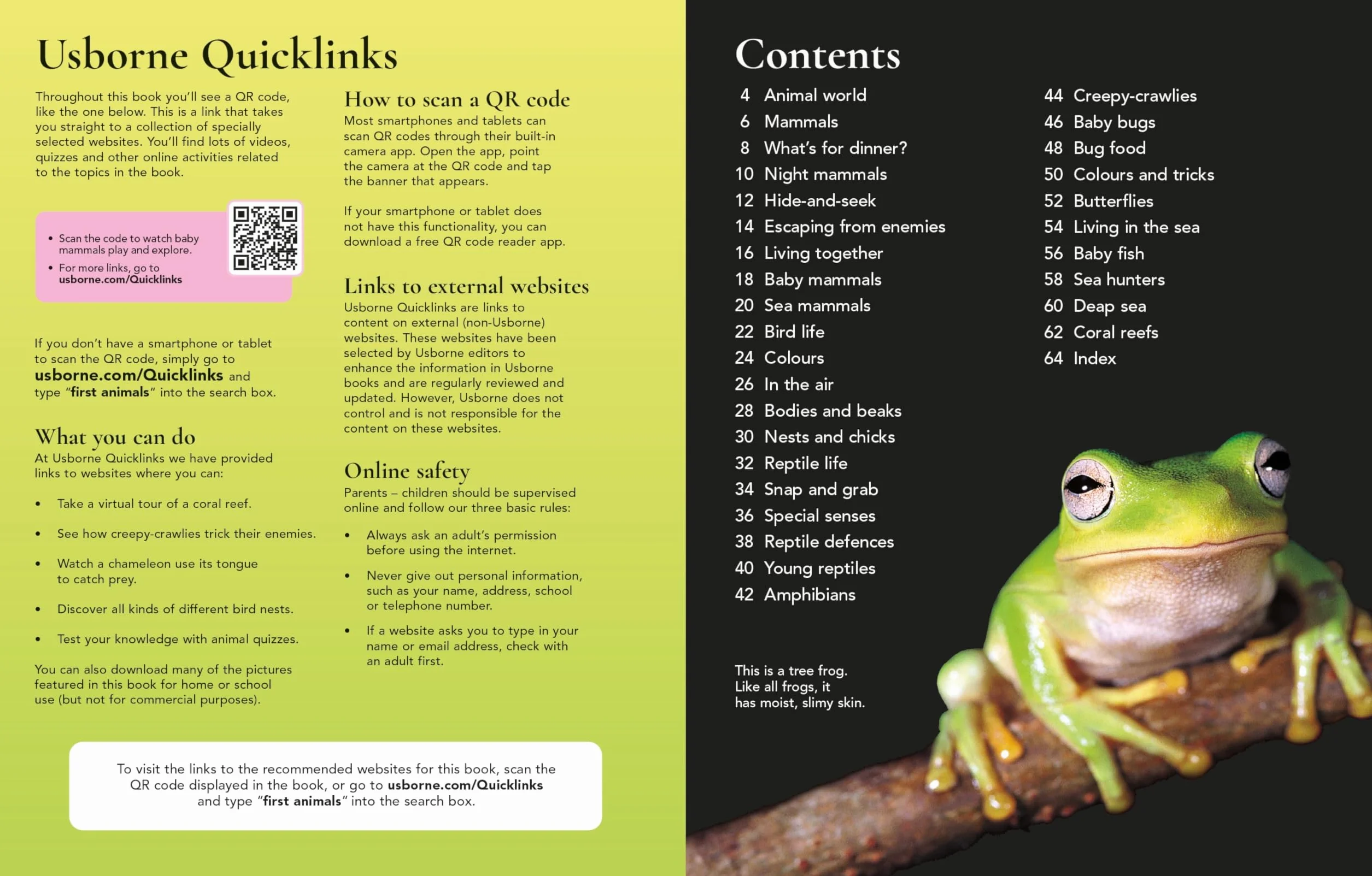 First Encyclopedia of Animals
