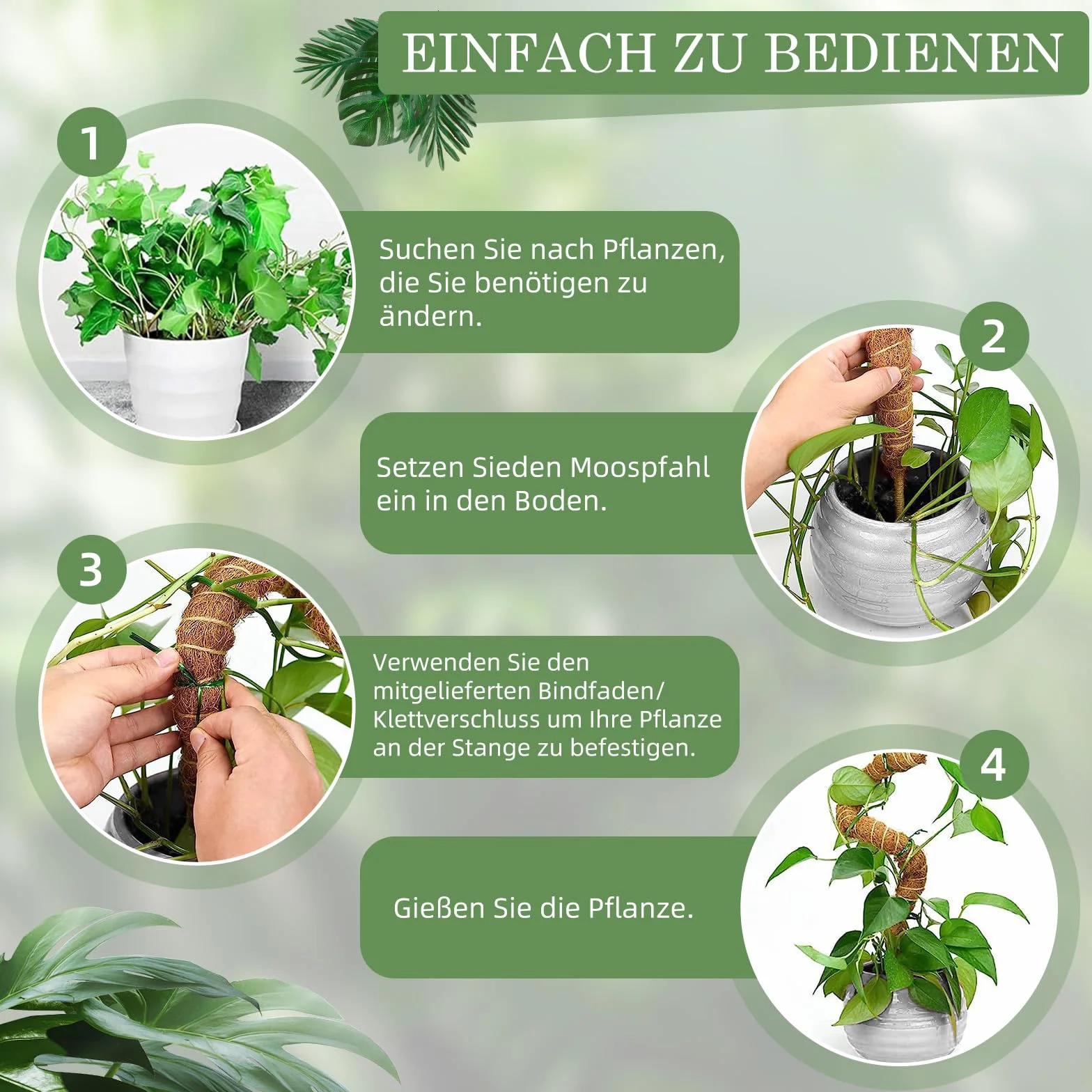 Podpórka do roślin pnących Monstera 75 cm, 2 sztuki prętów, wsparcie dla roślina pokojowych