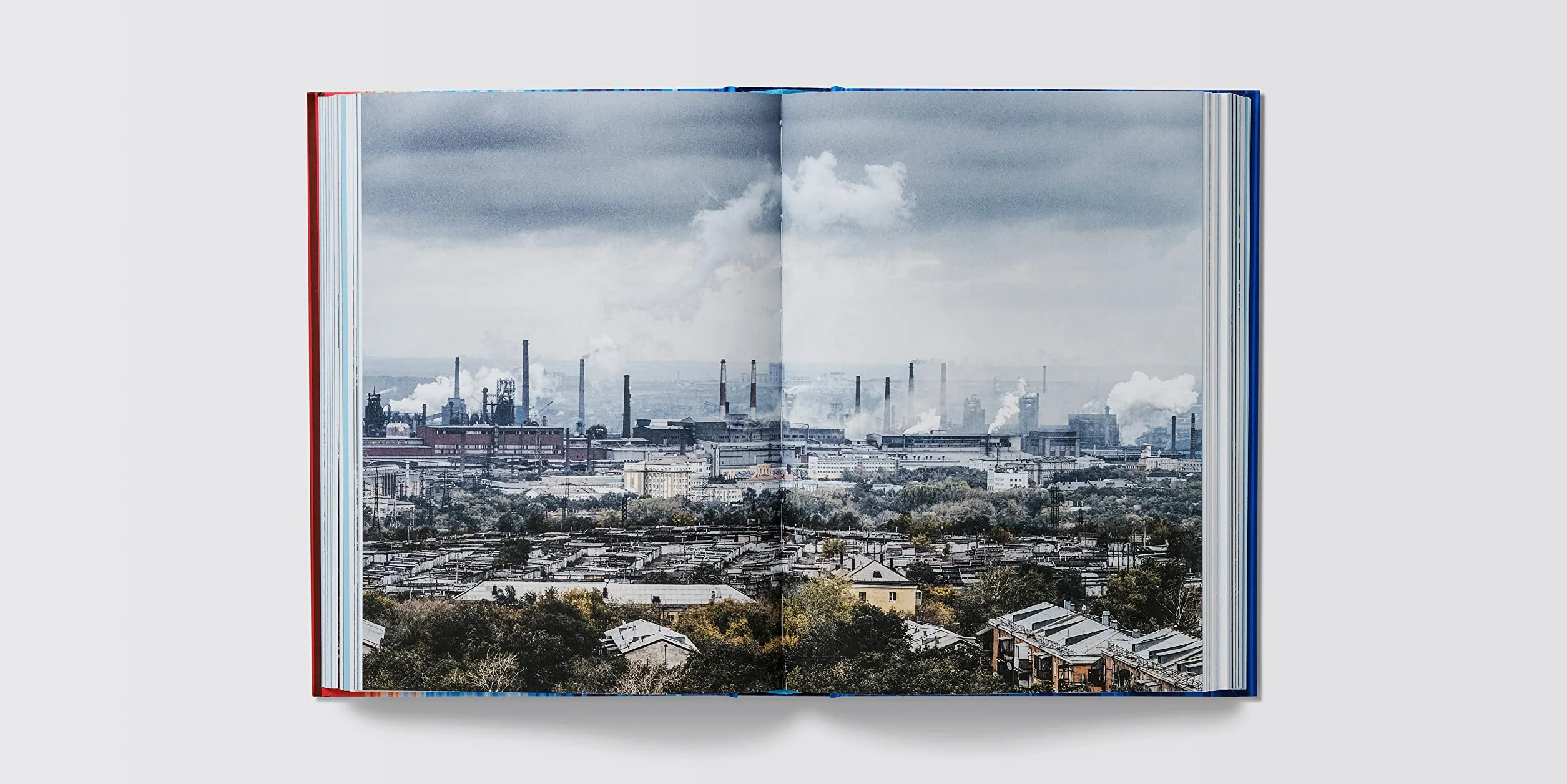 The Climate Book: Greta Thunberg