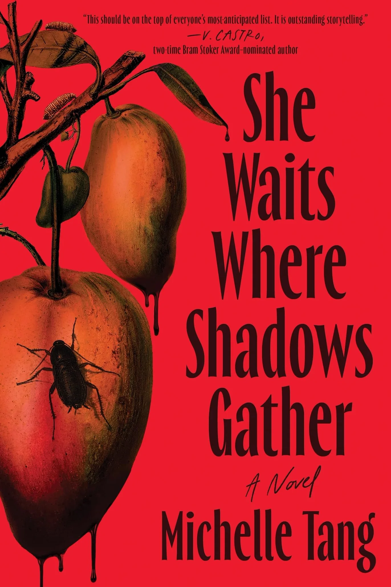 She Waits Where Shadows Gather: A Novel