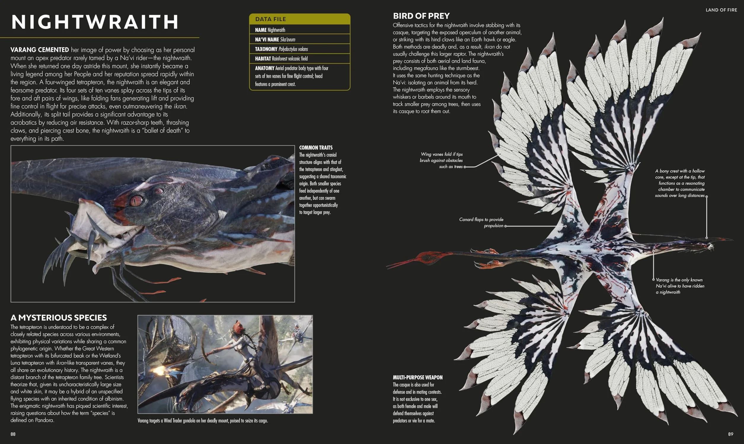 Avatar Fire and Ash the Visual Dictionary