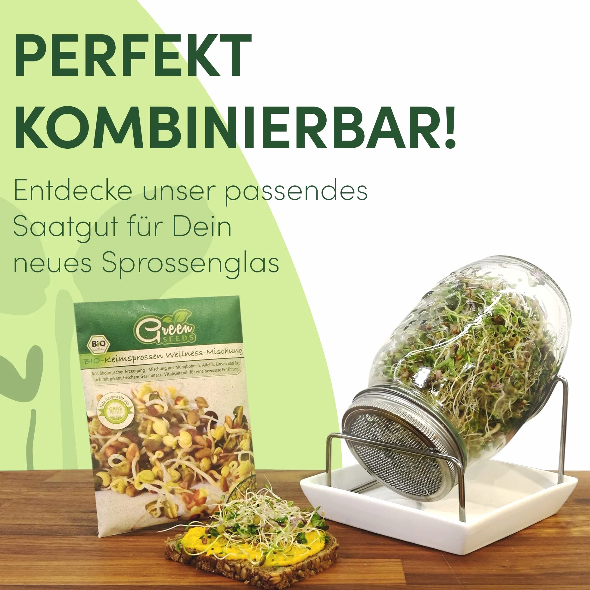 Green SEEDS Sitko do rzeżuchy, zestaw 1 misek do rzeżuchy, sitko ze stali nierdzewnej z wysokiej jakości miską ceramiczną, miska do uprawy 14 x 14 cm, nadaje się do mycia w zmywarce, nierdzewne +