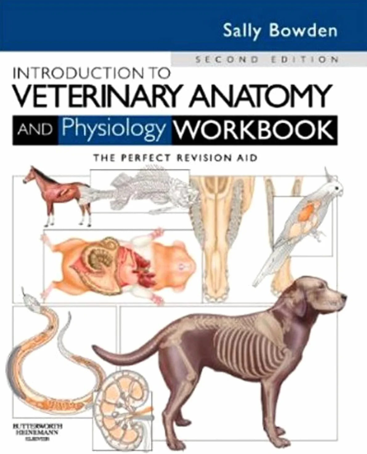 Introduction to Veterinary Anatomy and Physiology Workbook