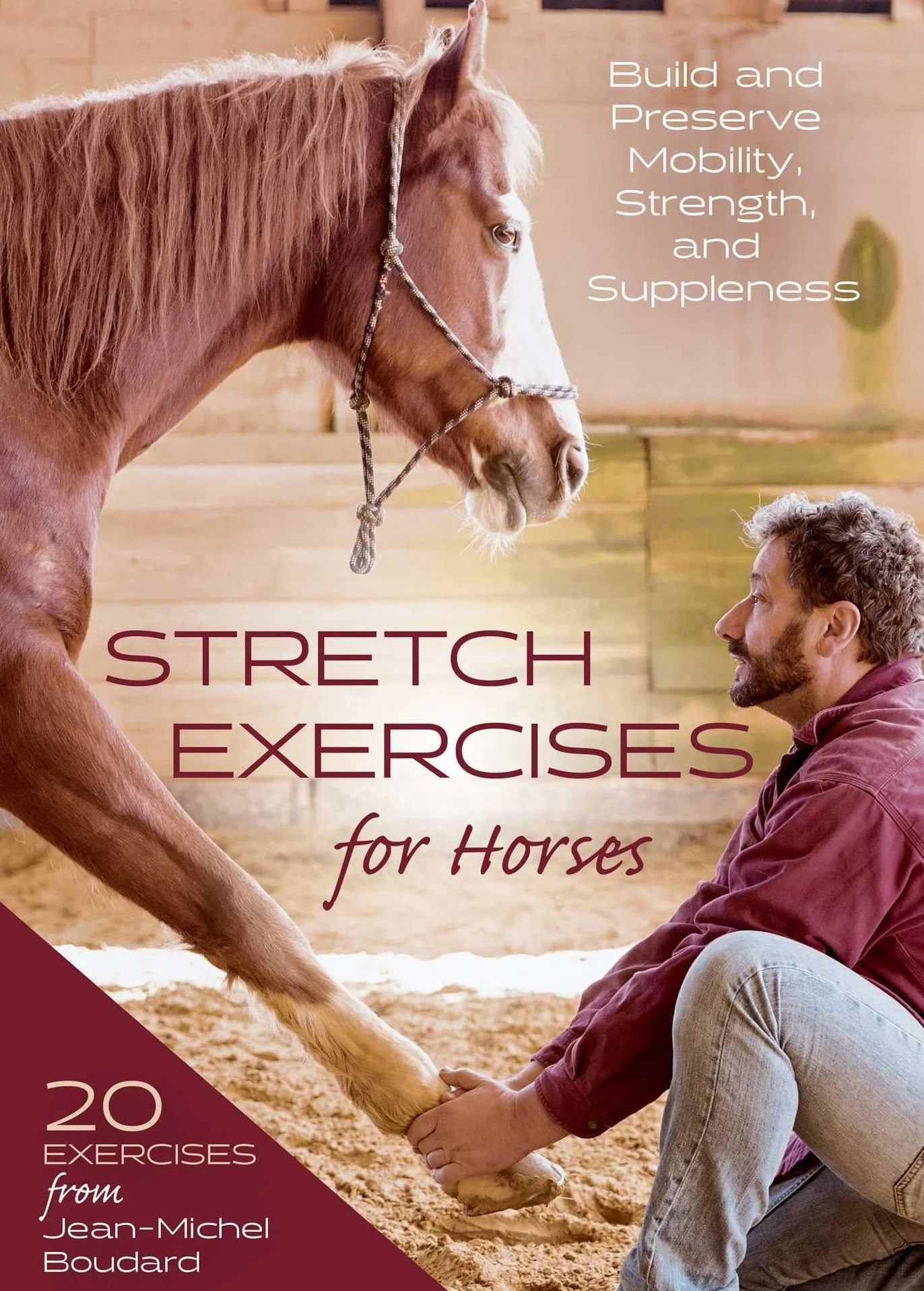 Stretch Exercises for Horses: Build and Preserve Mobility, Strength and Suppleness