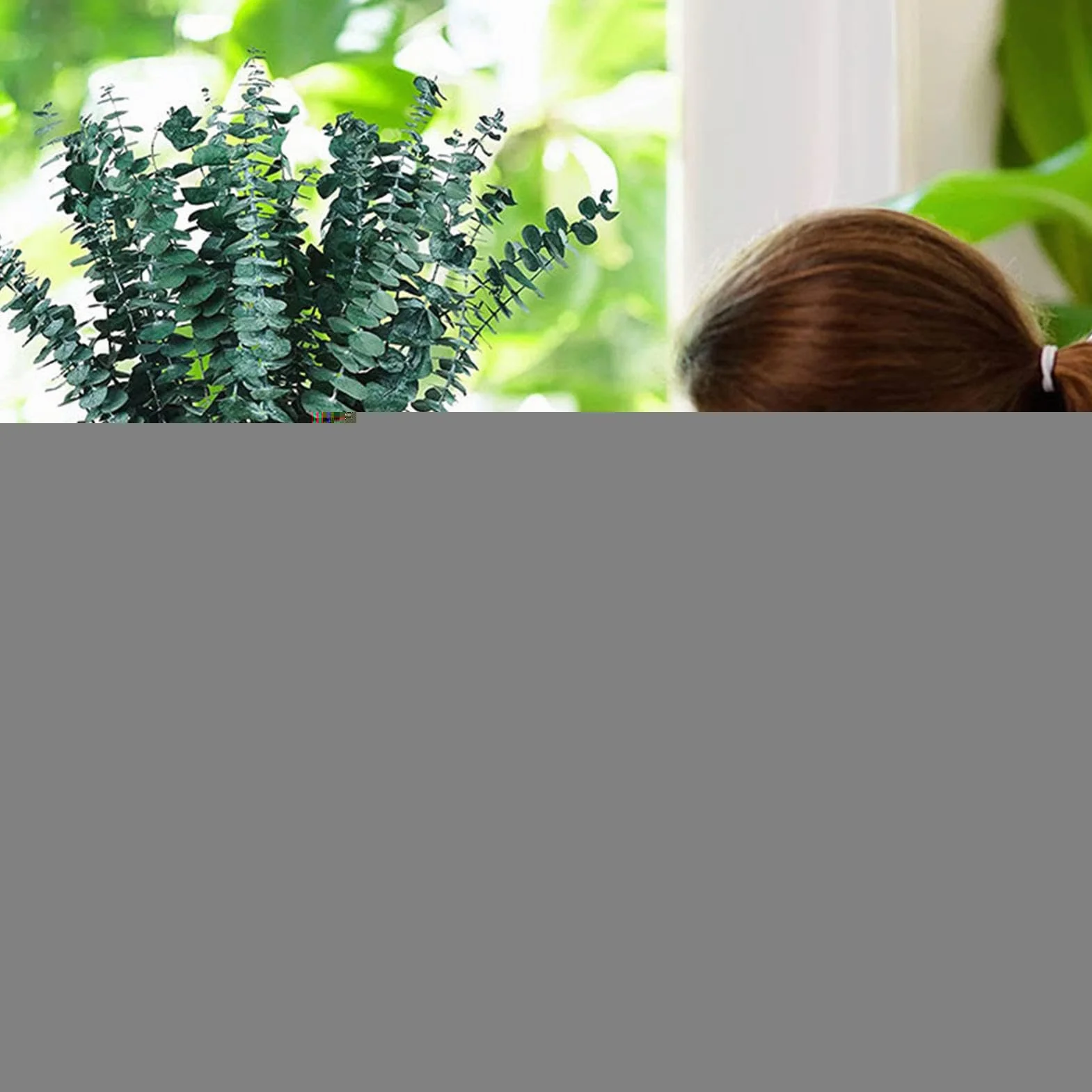 Suszony eukaliptus do prysznica | łodygi eukaliptusa, akcesoria prysznicowe, 10 sztuk, dekoracja do łazienki, salonu, domu, spa
