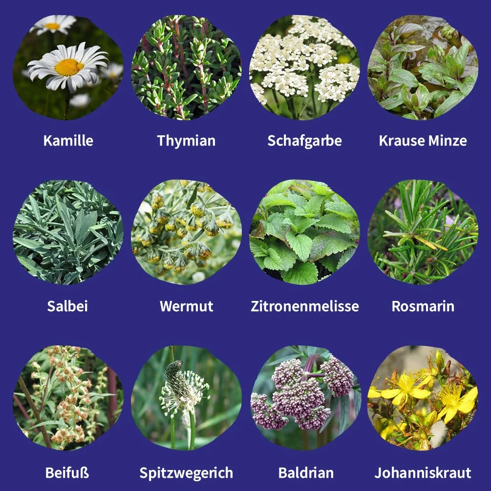 Heilkräutersamen - 12 sztuk samenfestyn na ogród, hochbeet lub balkon - tradycyjny i piękny - zestaw upominkowy jako mały prezent lub do dekoracji domu
