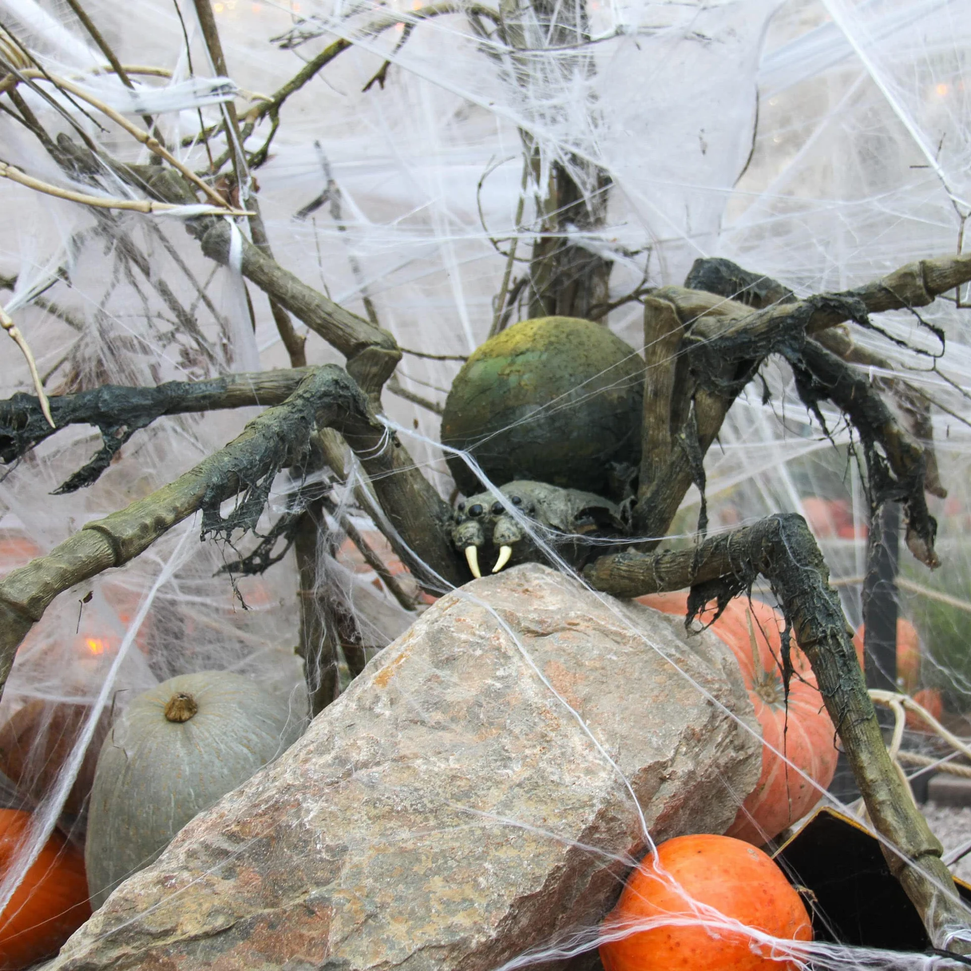 COM-FOUR® 26-czesciowy zestaw dekoracji na Halloween - rozciagliwa pajeczyna 500 g z 25 czarnymi pajakami - biala pajeczyna na Halloween, karnawal, horror lub imprezy tematyczne