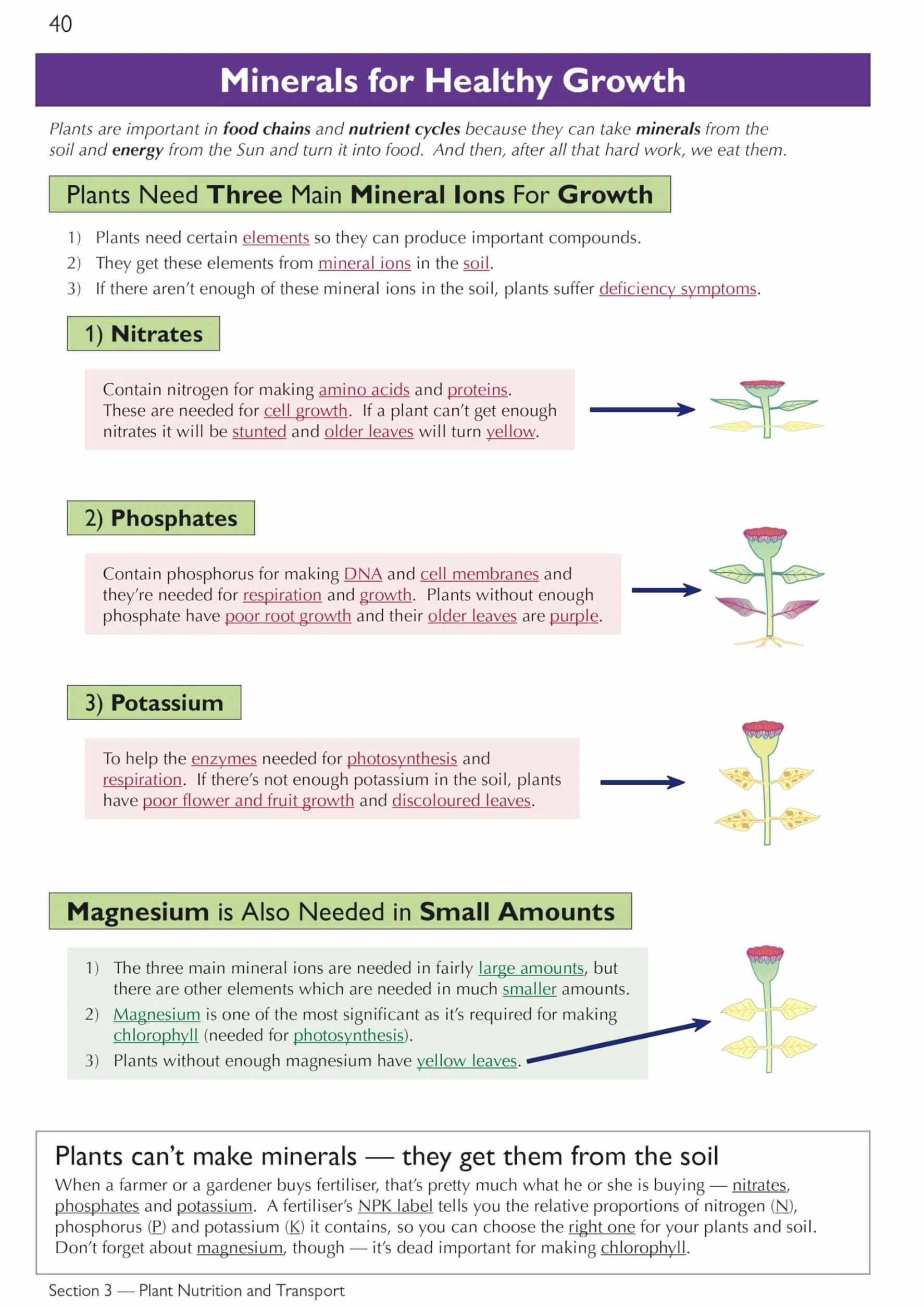 Edexcel International GCSE Biology Complete Revision & Practice: Includes Online Videos & Quizzes