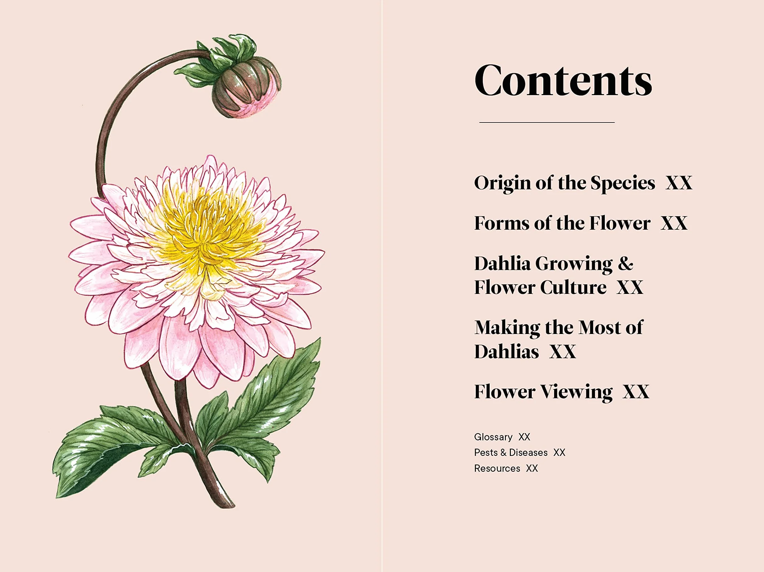 Dahlias: A Little Book of Flowers
