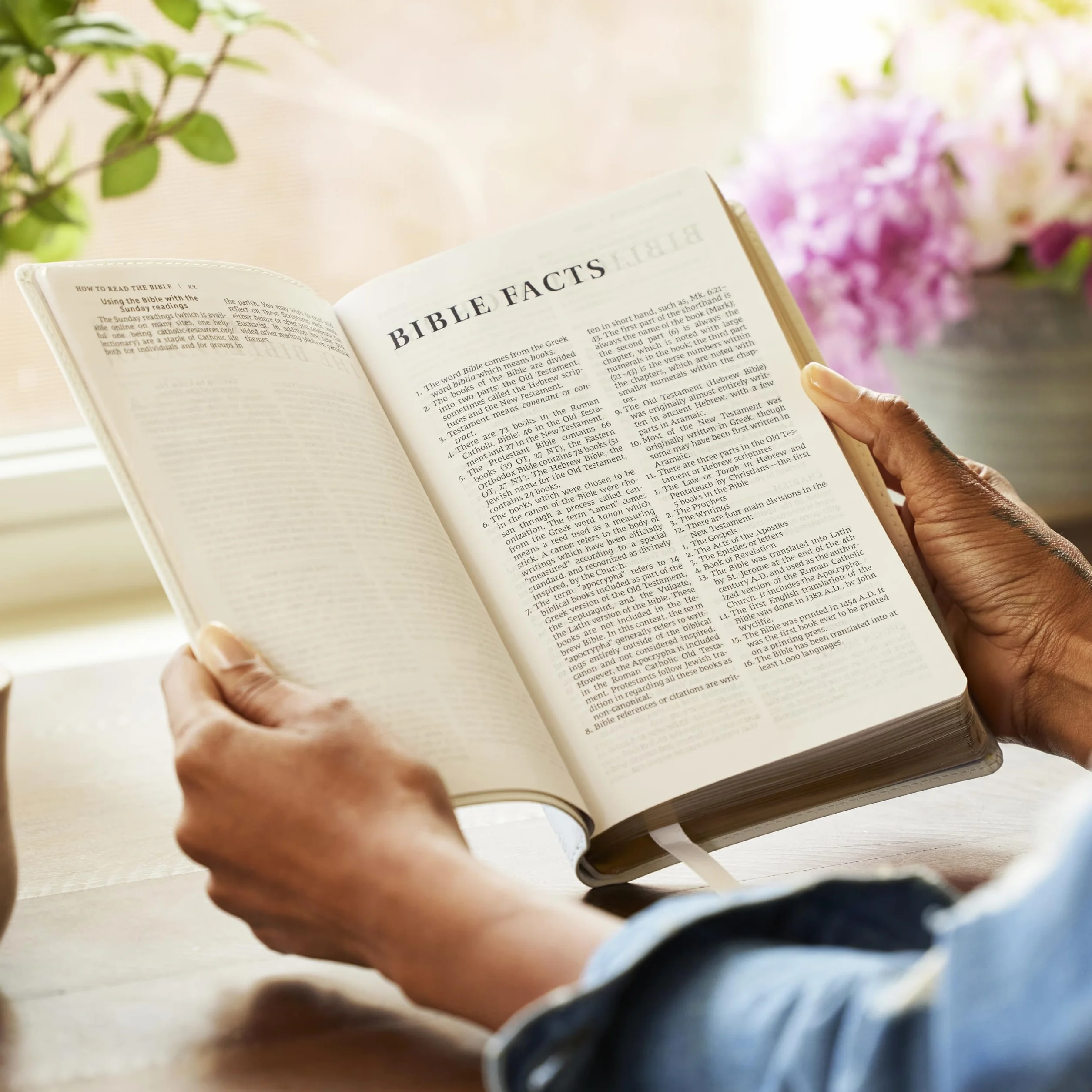 Nrsv, Catholic Bible, Gift Edition, Leathersoft, Teal, Comfort Print: Holy Bible