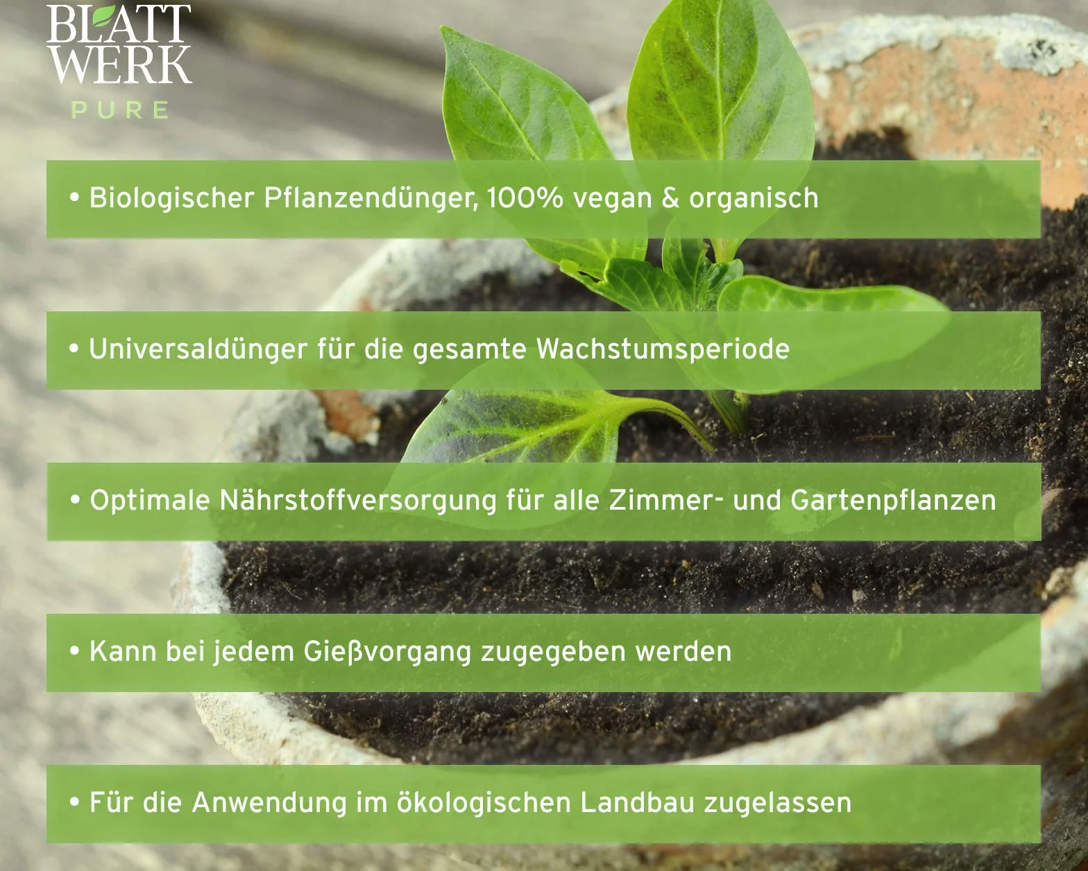 BLATTWERK Pure Bio uniwersalny nawóz płynny do roślin pokojowych, roślin kwitnących, trawników, owoców i warzyw – NPK nawóz do warzyw, pomidorów, nawóz do trawnika, nawóz do kwiatów, płynny nawóz bio