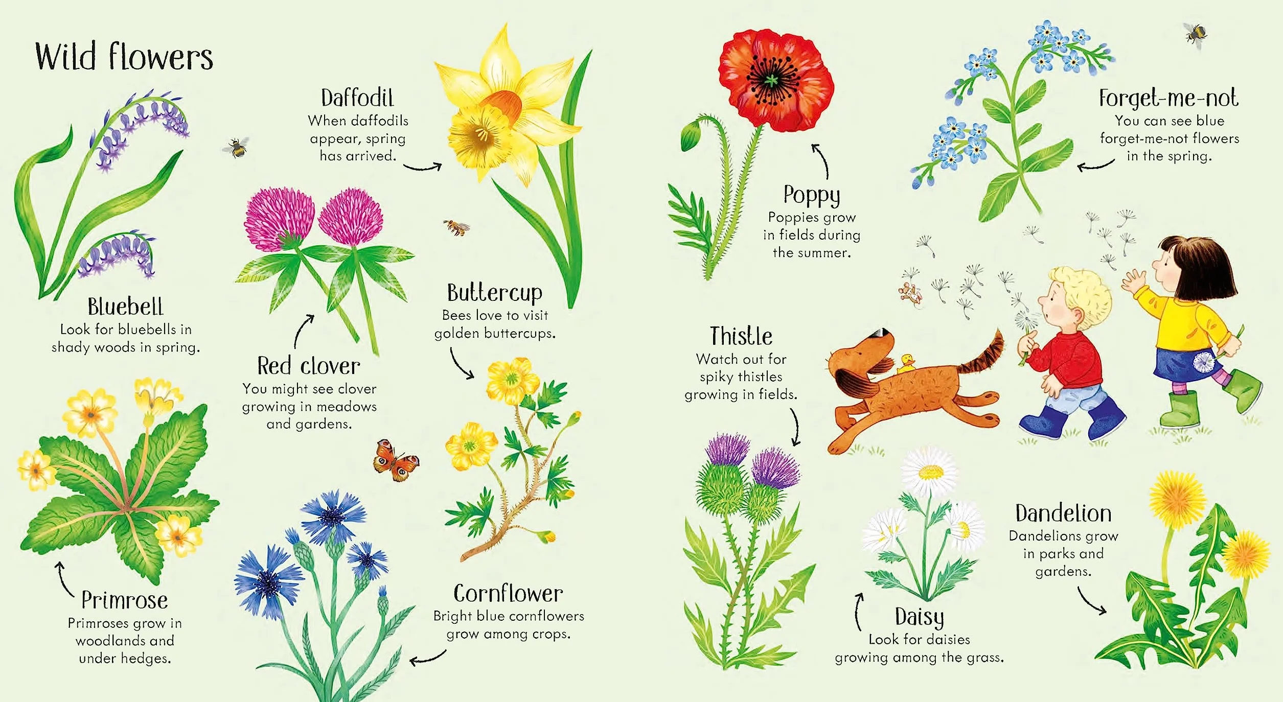 Poppy and Sam's Nature Spotting Book (Farmyard Tales Poppy and Sam)