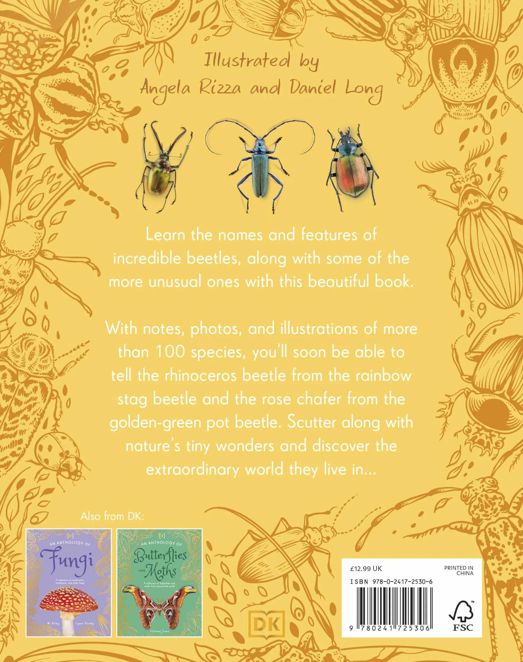 An Anthology of Beetles: A Collection of Brilliant Beetles from Around the World