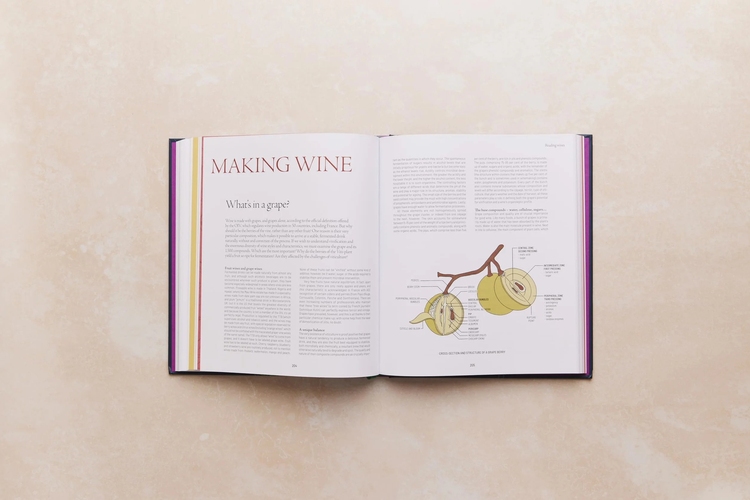 One Thousand Vines: A New Way to Understand Wine
