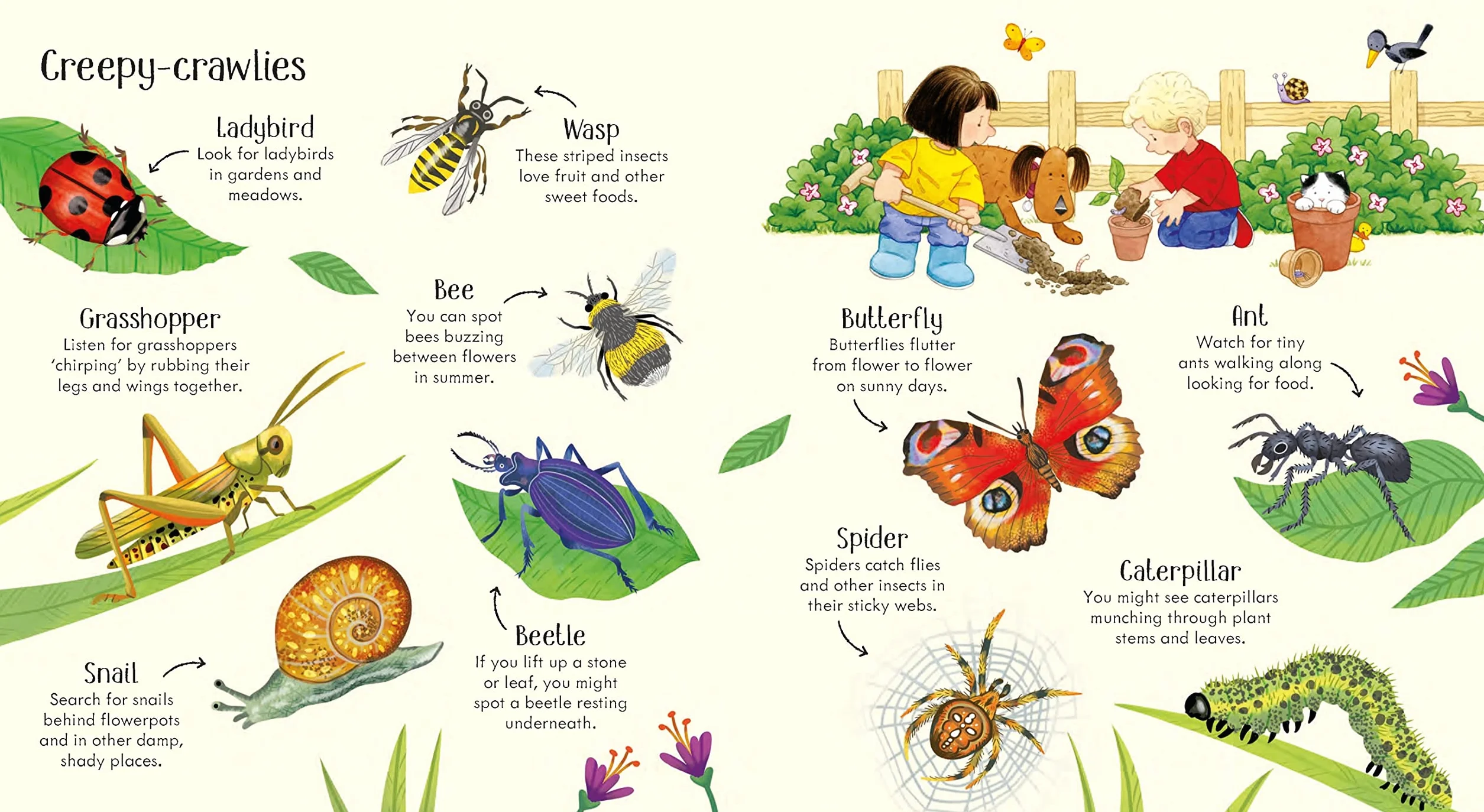 Poppy and Sam's Nature Spotting Book (Farmyard Tales Poppy and Sam)