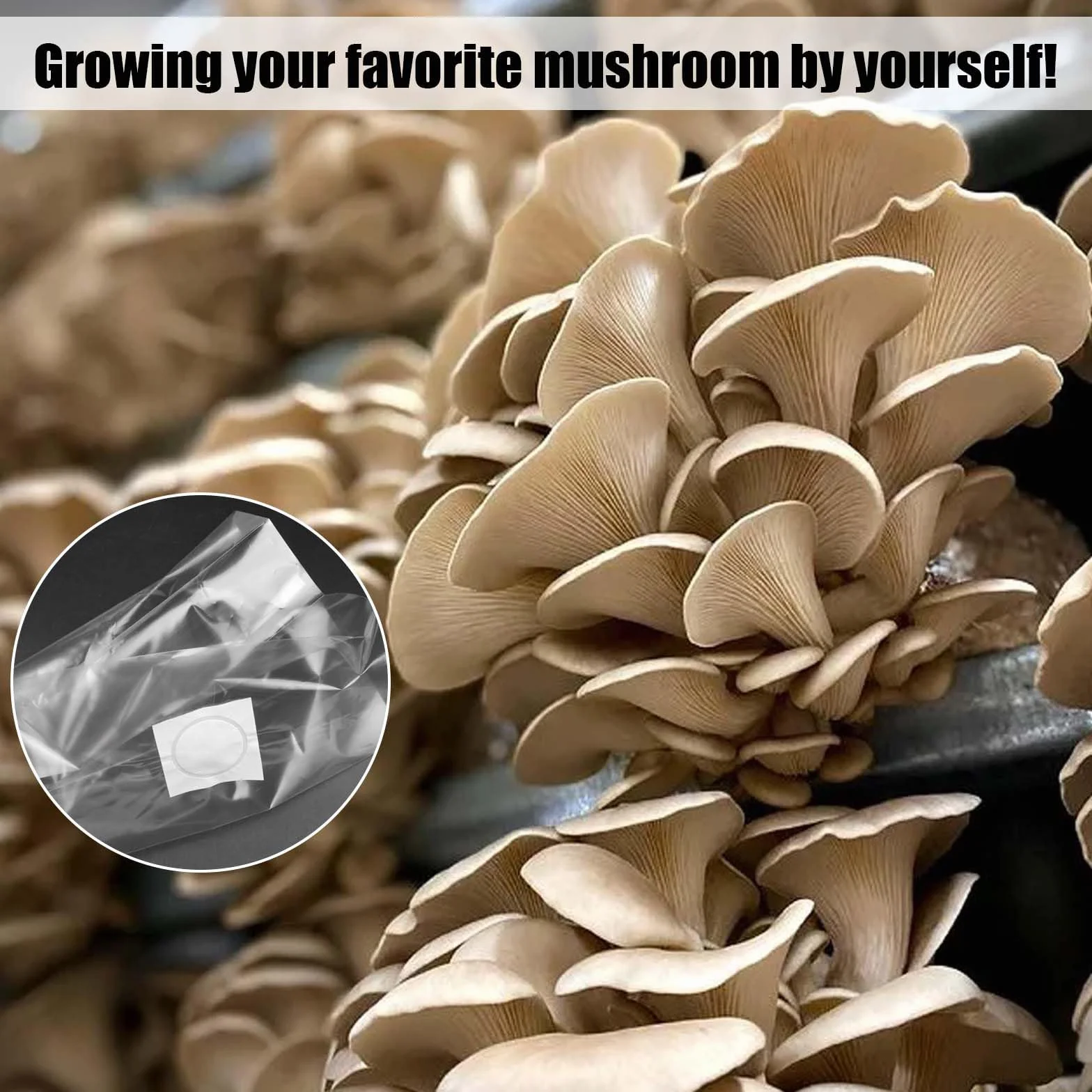 30 sztuk worków do uprawy grzybów: 32 x 50 cm, worek do uprawy grzybów PP z filtrem 0,2 mikrometra, Mushroom Spawn Grow Bag do grzybów shiitake, enoki, boczniaków itd.