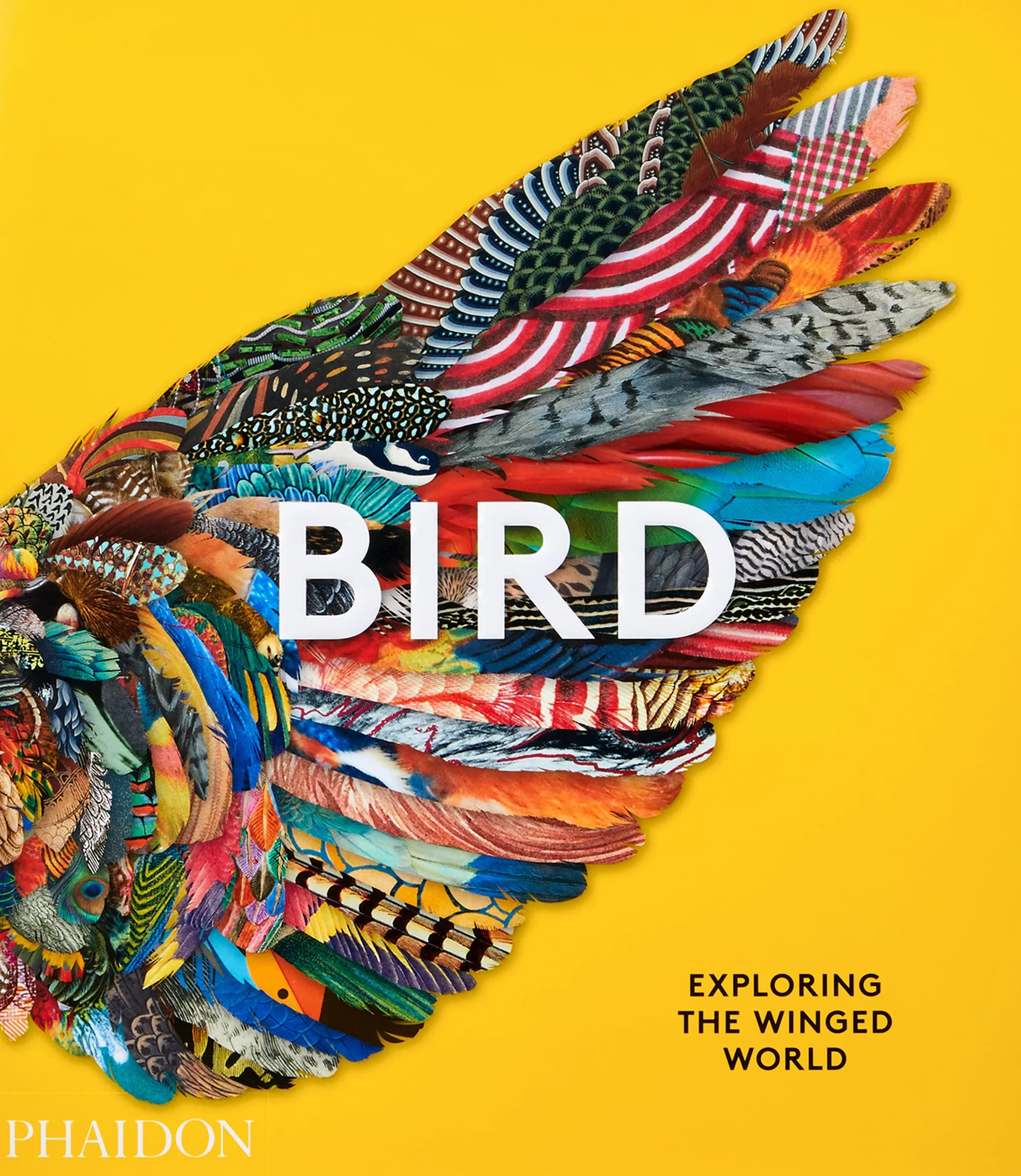 Bird: Exploring the winged world