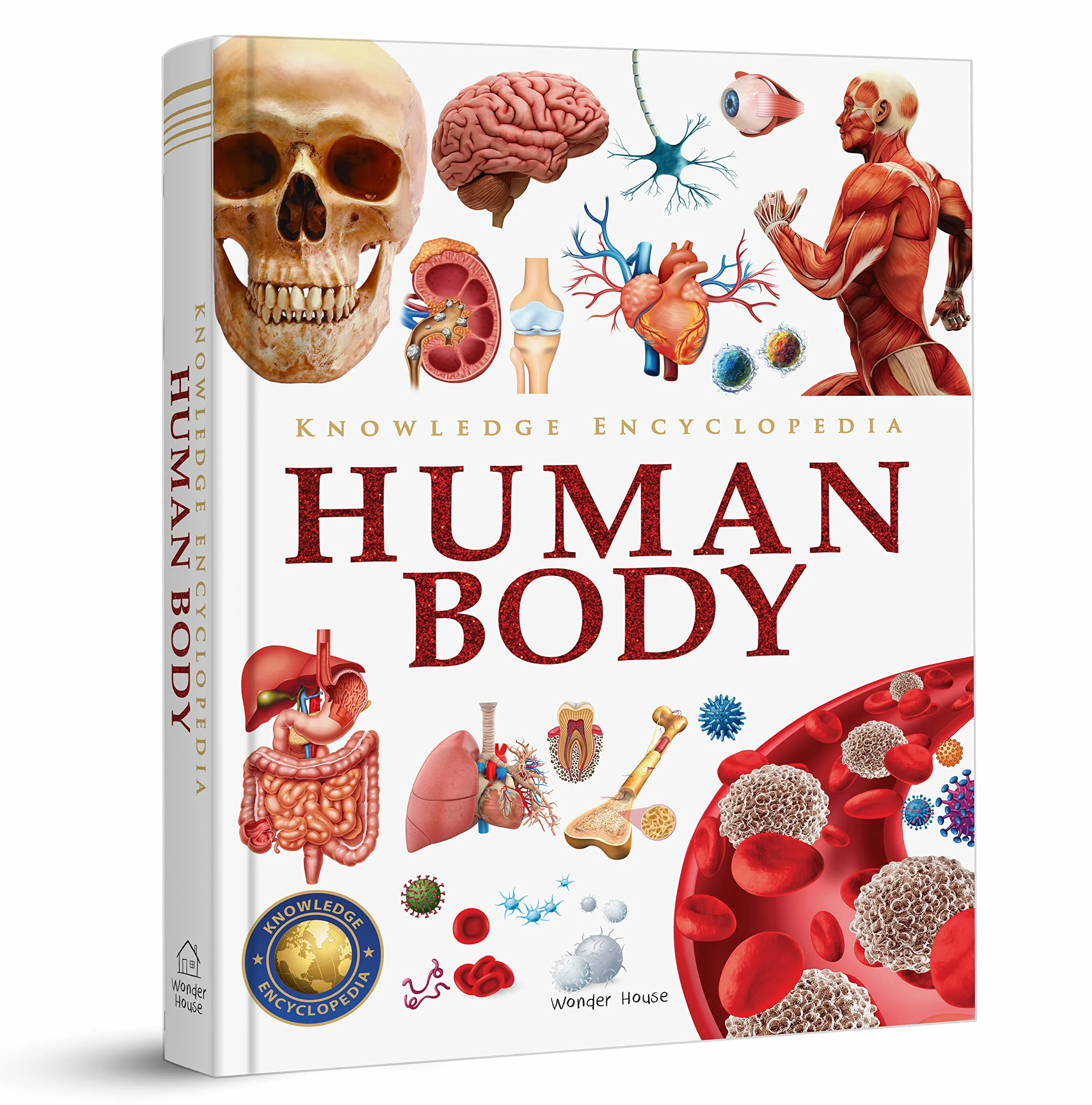 Knowledge Encyclopedia: Human Body