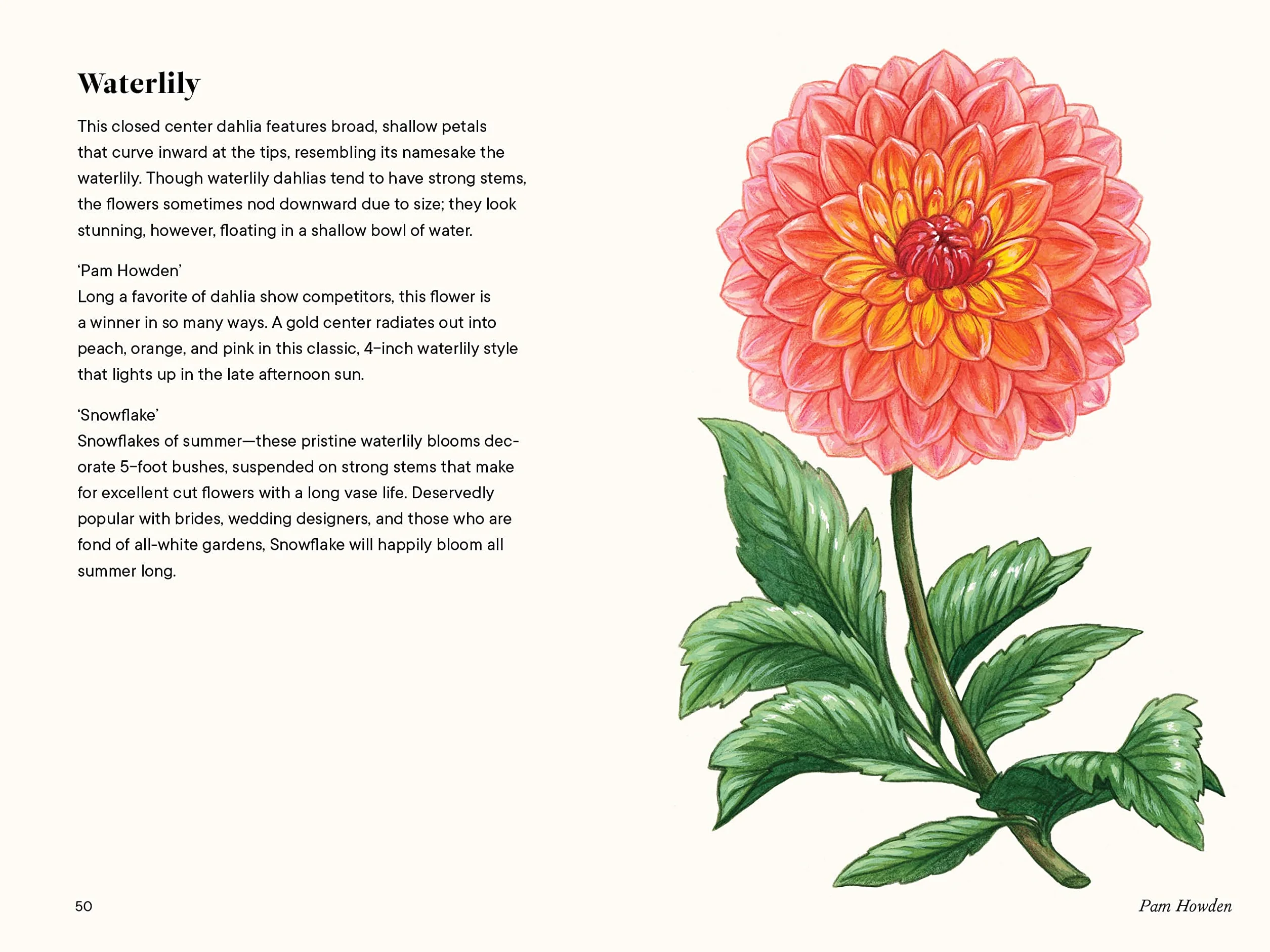 Dahlias: A Little Book of Flowers