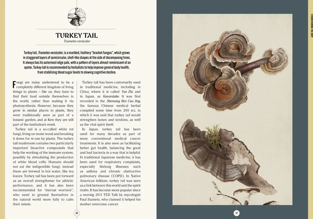 Kew: The Apothecary's Garden: The Science and Mythology of Medicinal Plants