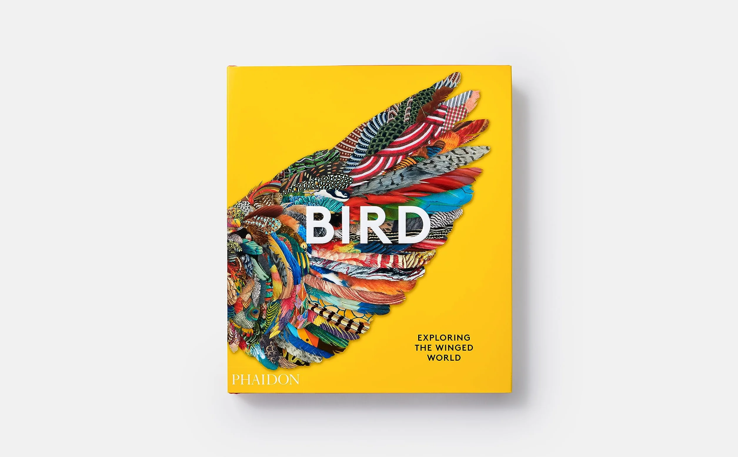 Bird: Exploring the winged world