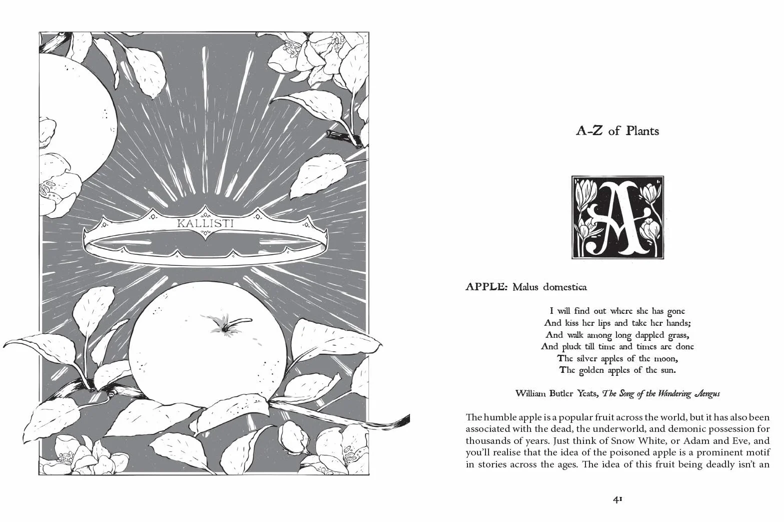 Botanical Curses and Poisons: The Shadow-Lives of Plants