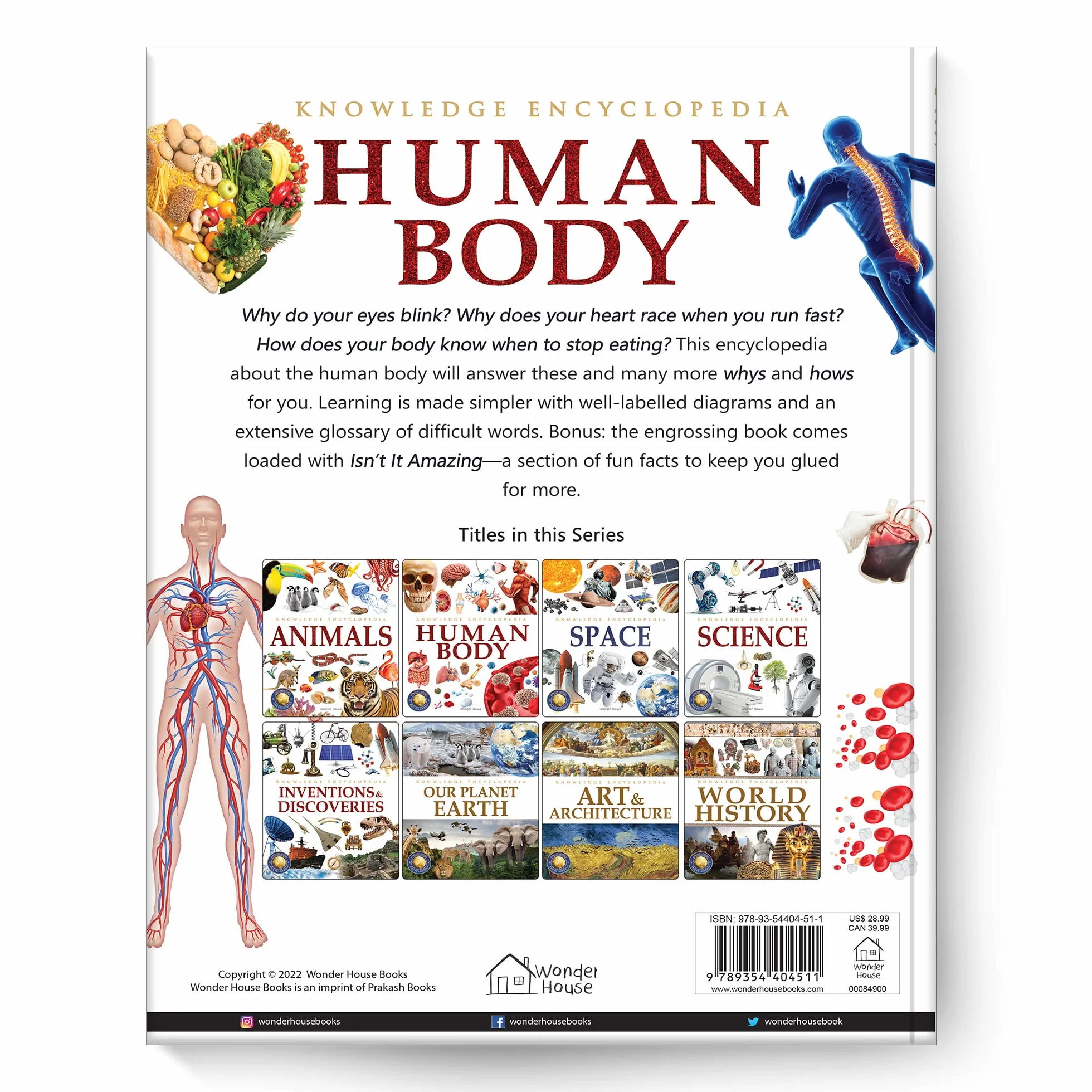 Knowledge Encyclopedia: Human Body