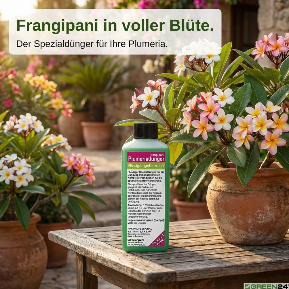 GREEN24 Frangipani-Dünger Hightech Płynny Fertilizer do Plumerie Frangipane