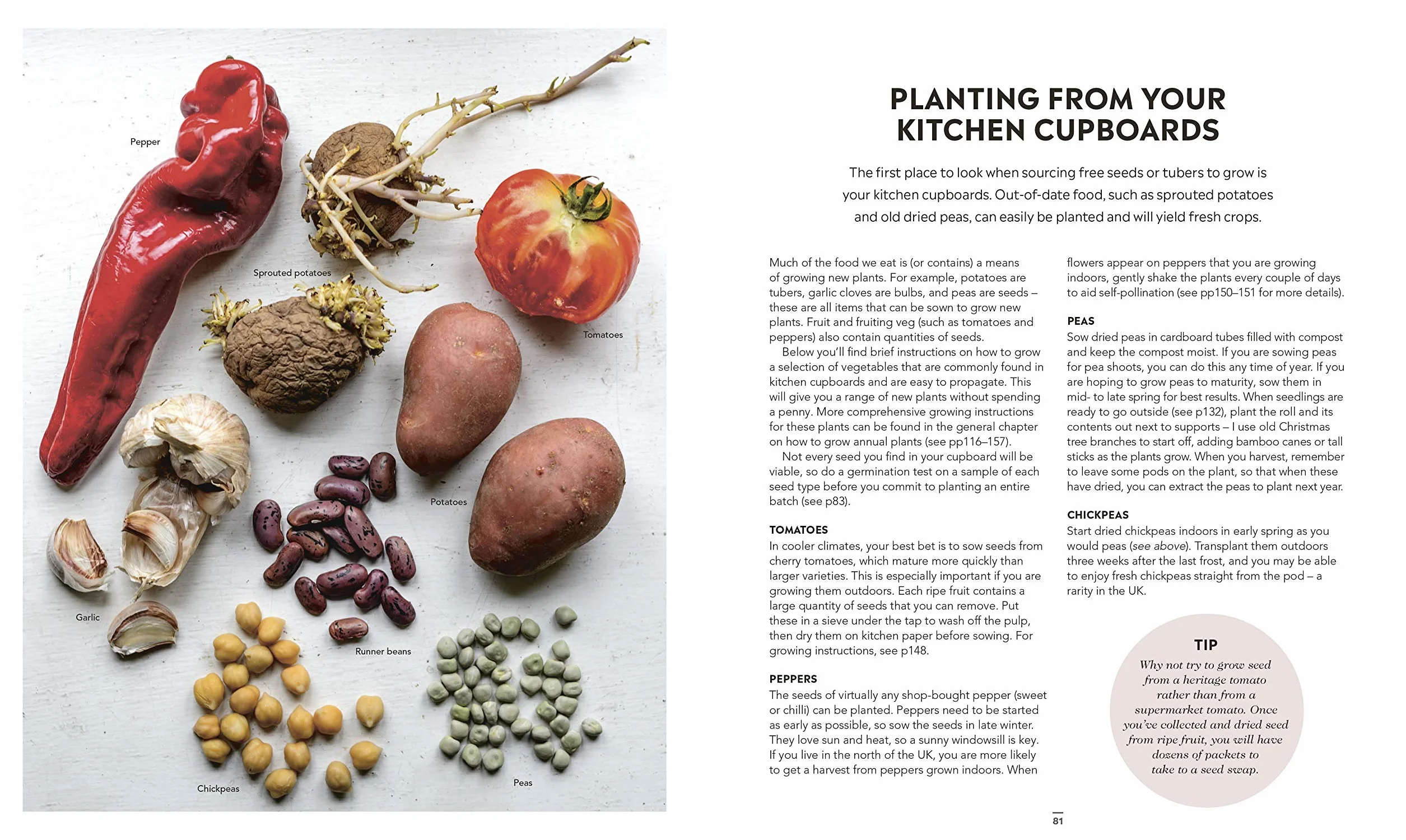 Grow Food for Free: The easy, sustainable, zero-cost way to a plentiful harvest