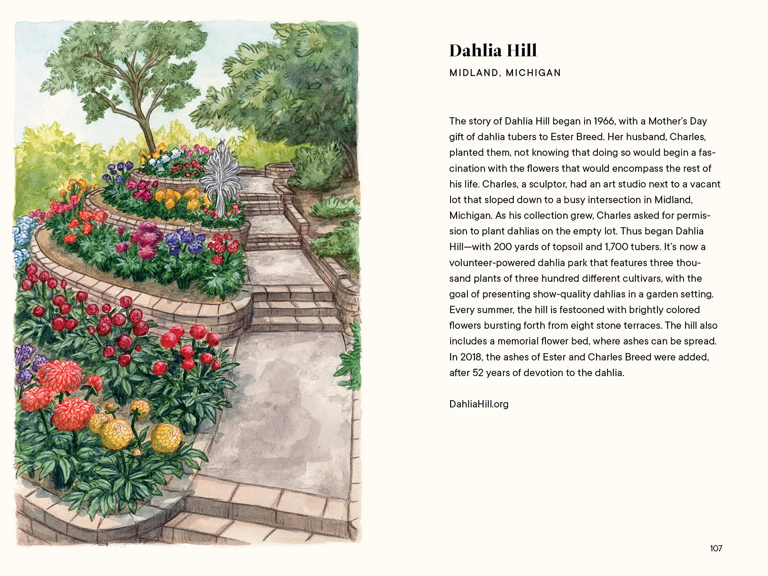 Dahlias: A Little Book of Flowers